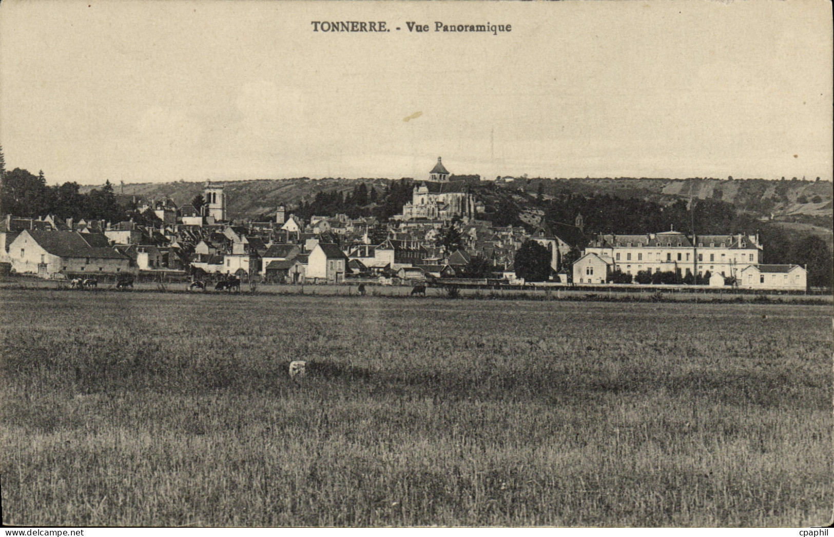 CPA Tonnerre Vue Panoramique