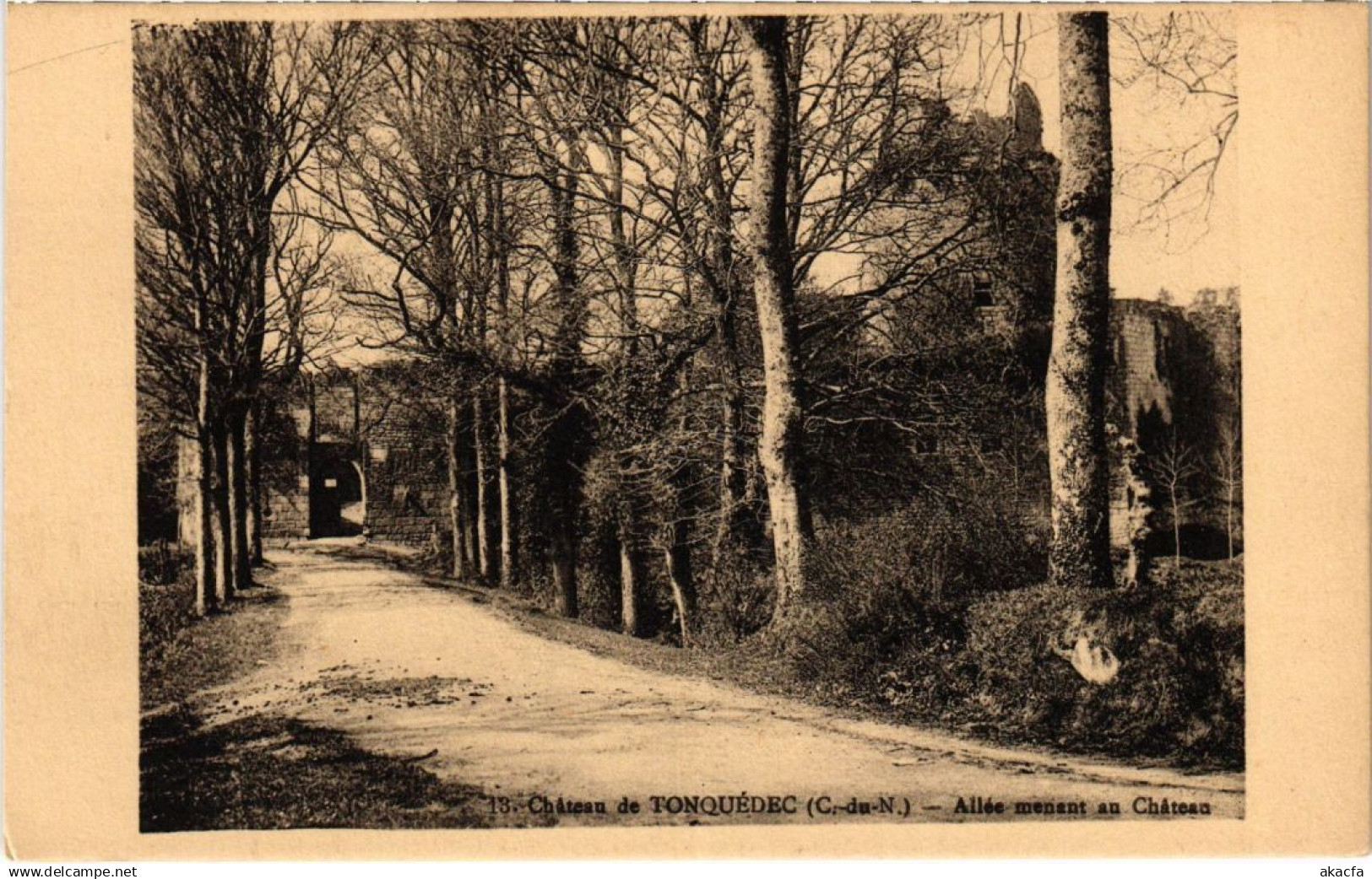 CPA TONQUEDEC Chateau de Tonquedec - Allee menant au Chateau (1295948)