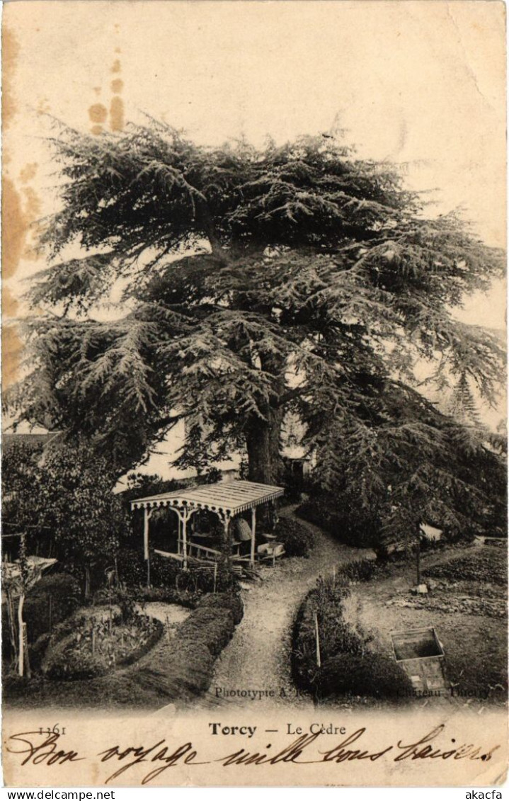 CPA TORCY Le Cedre (1298826)
