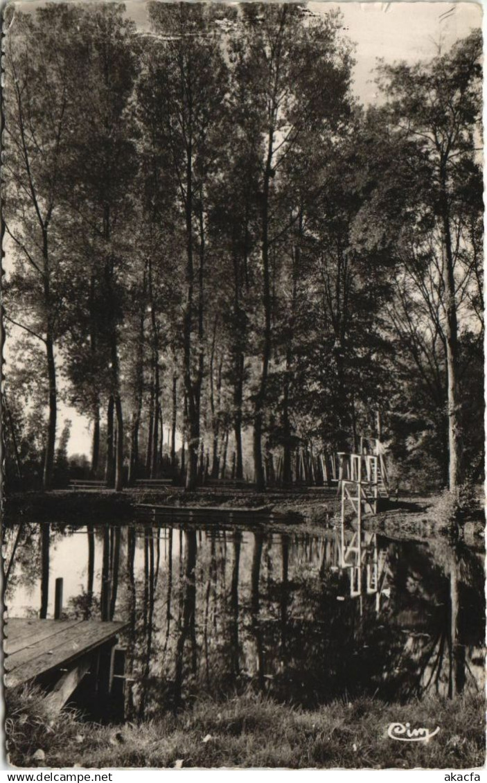 CPA TOUCY La Baignade (1197733)