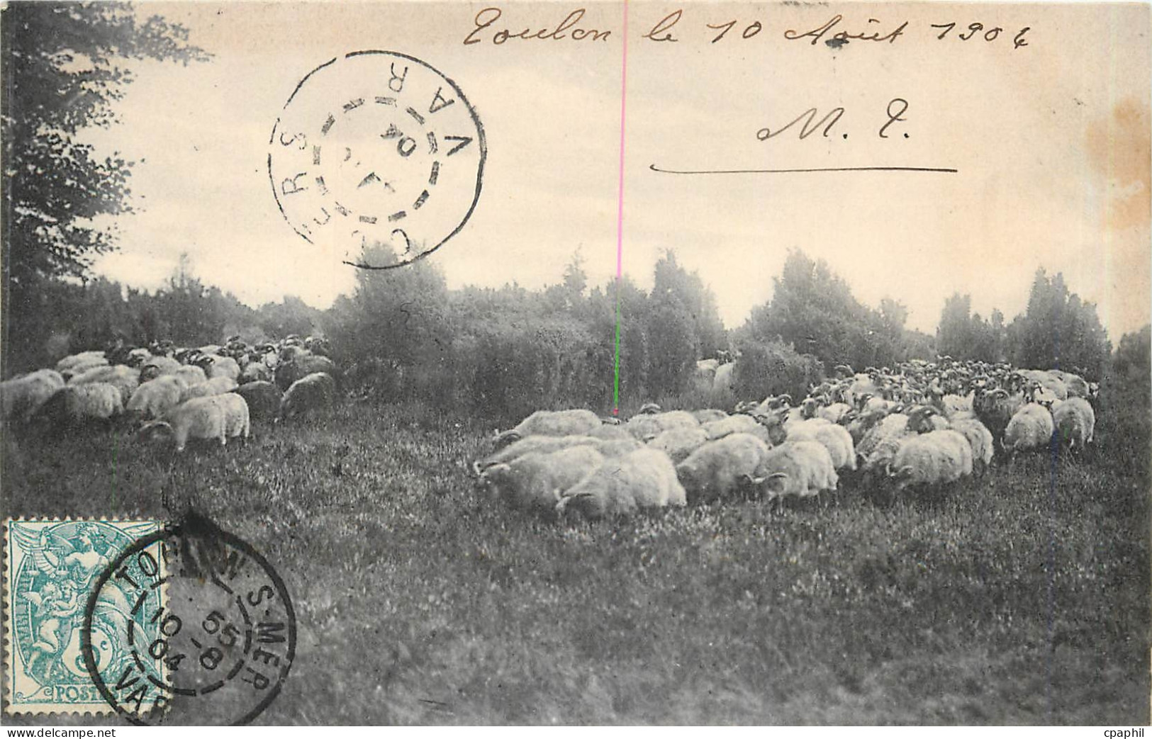 CPA TOULON Moutons