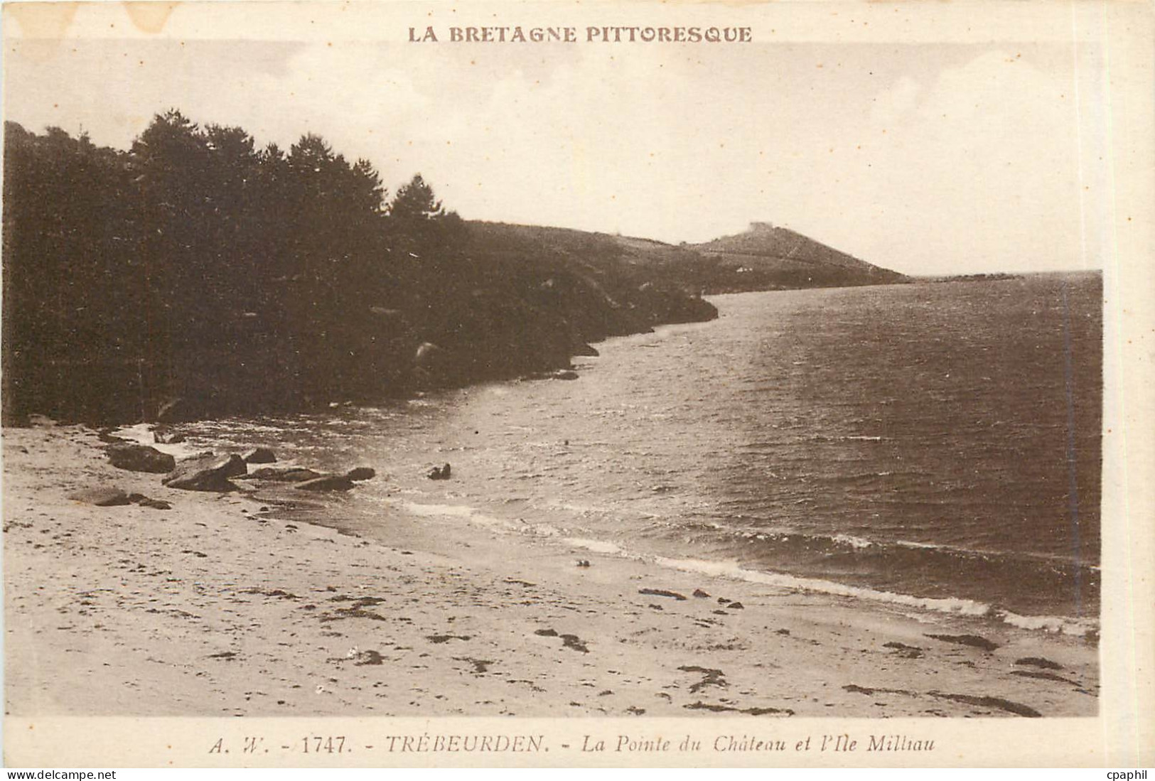 CPA Trebeurden La Pointe du Chateau et l'Ile Milliau