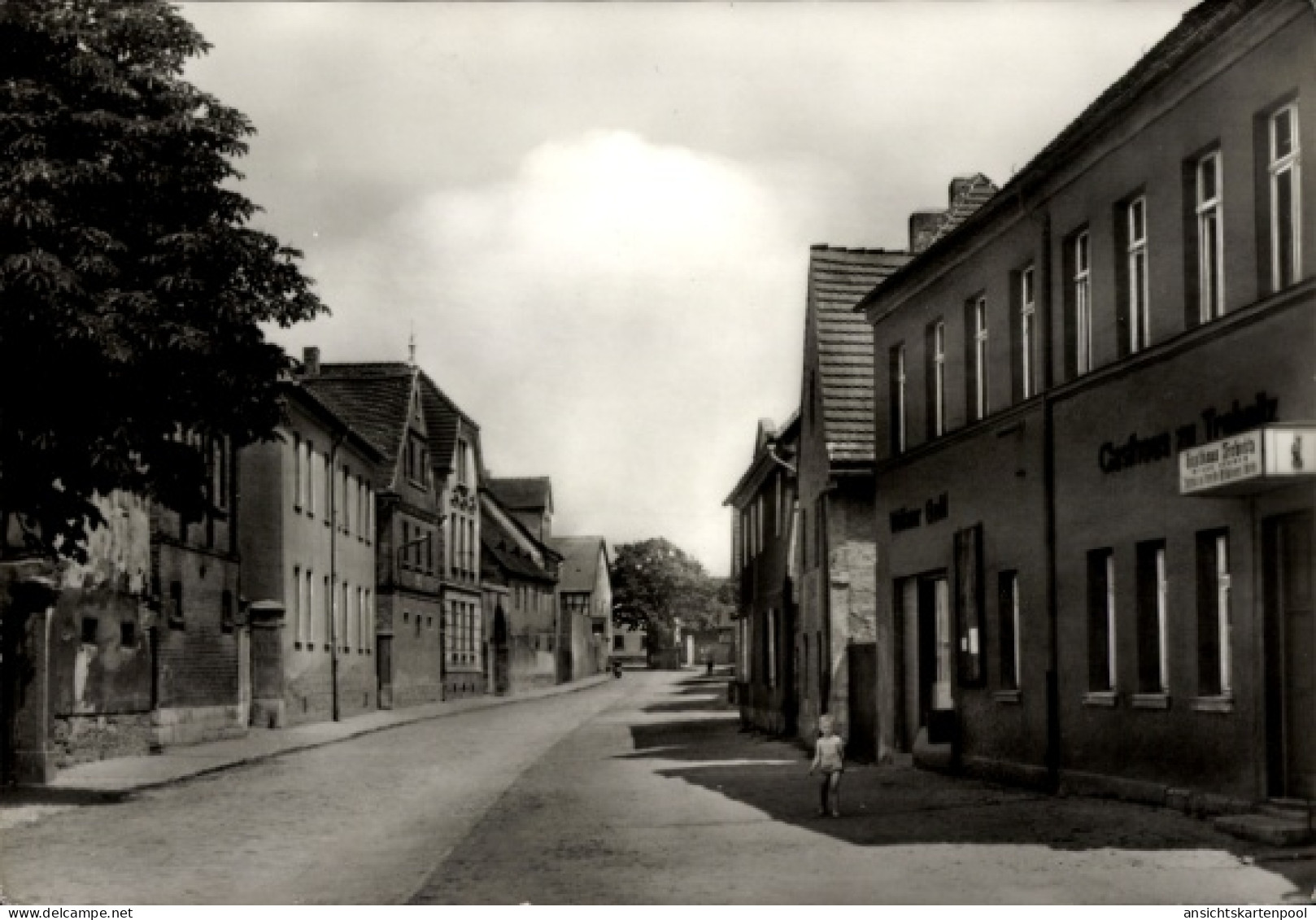 CPA Trebnitz Teuchern im Burgenlandkreis, Dorfstraße
