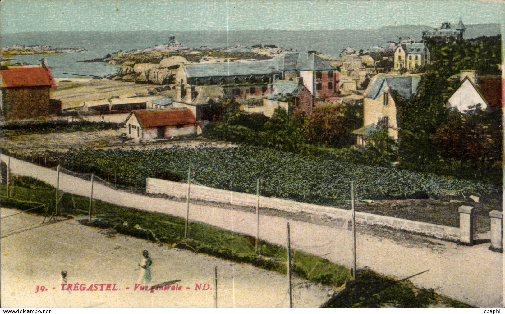 CPA Tregastel Vue Generale