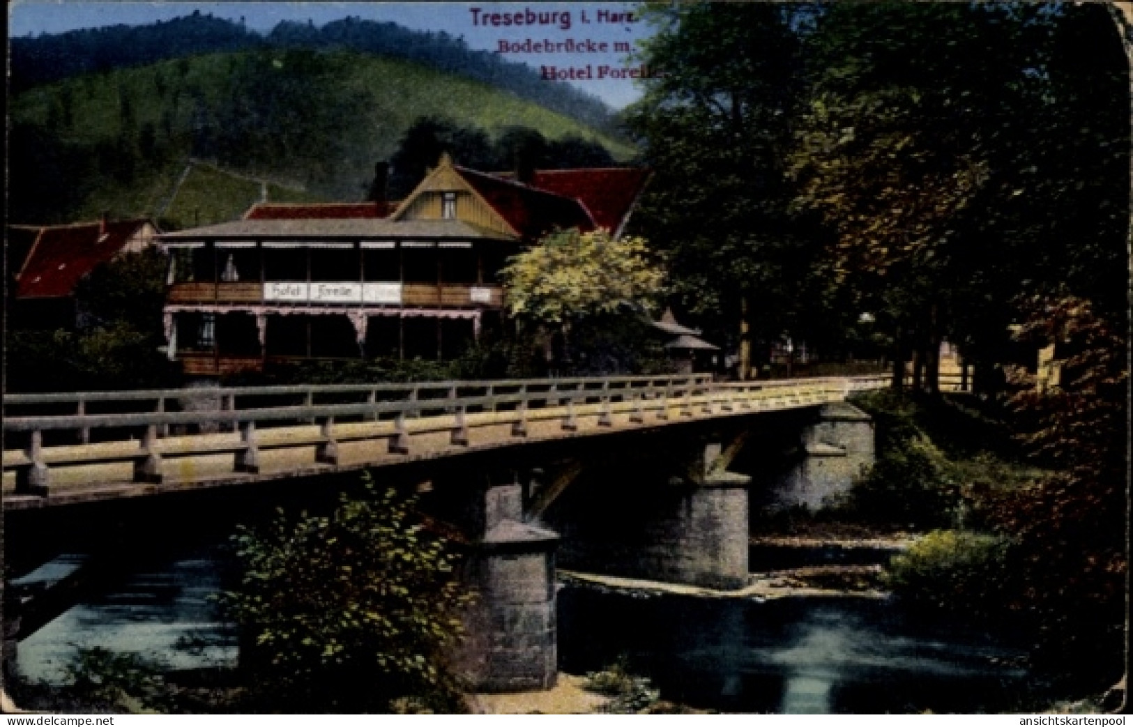 CPA Treseburg Thale im Harz, Hotel Forel, Bodebrücke, Fluss, Natur, Landschaft