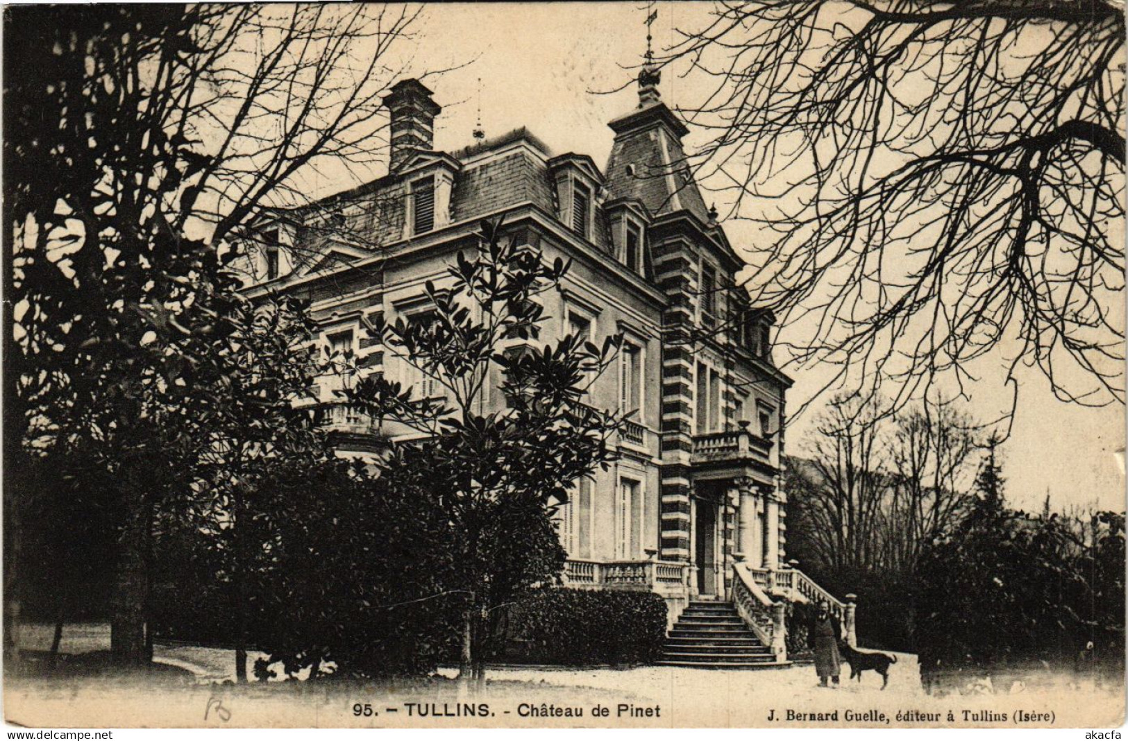 CPA TULLINS - Chateau de Pinet (653040)