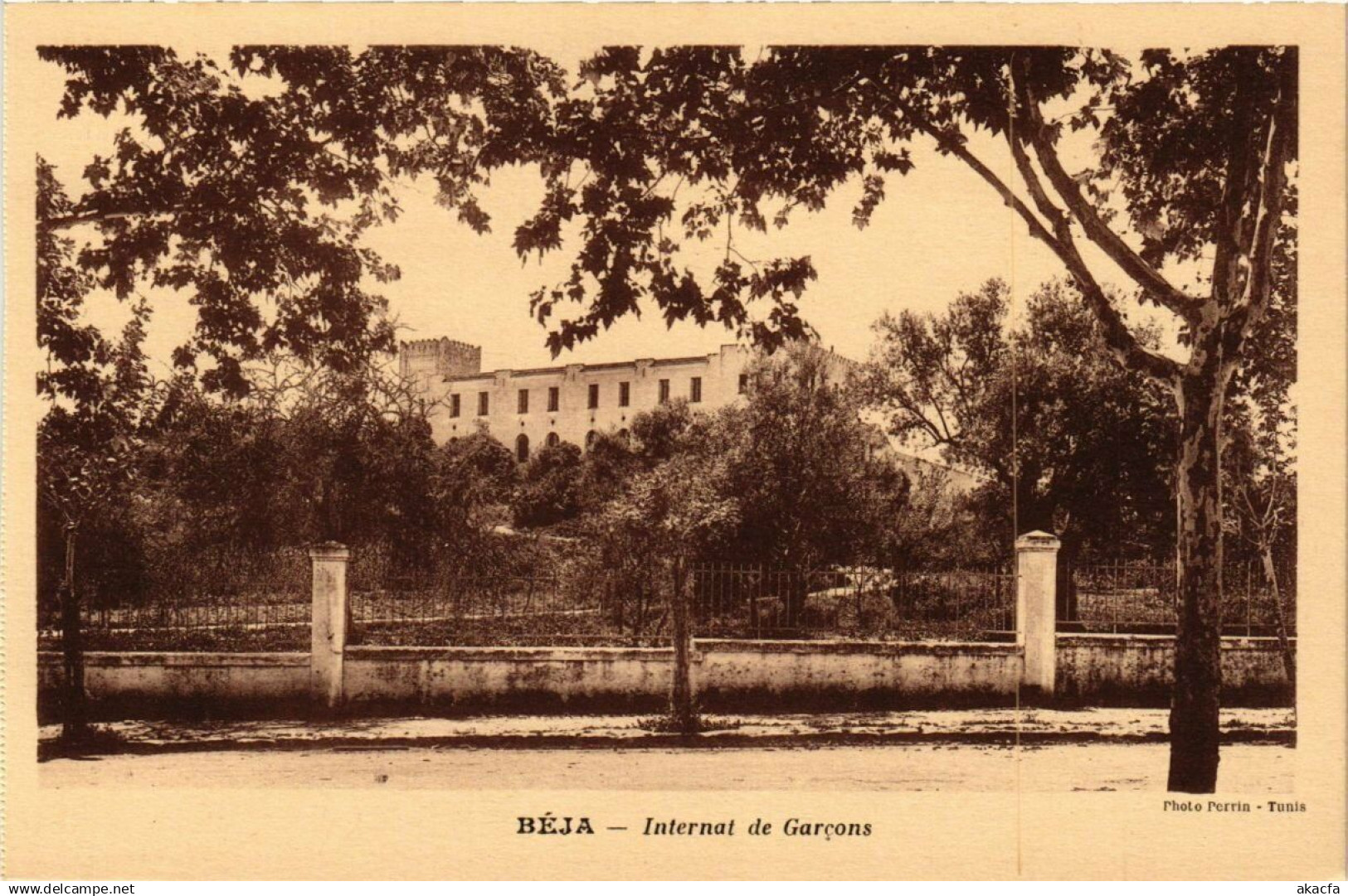 CPA TUNISIE BEJA-Internat de Gargons (239170)