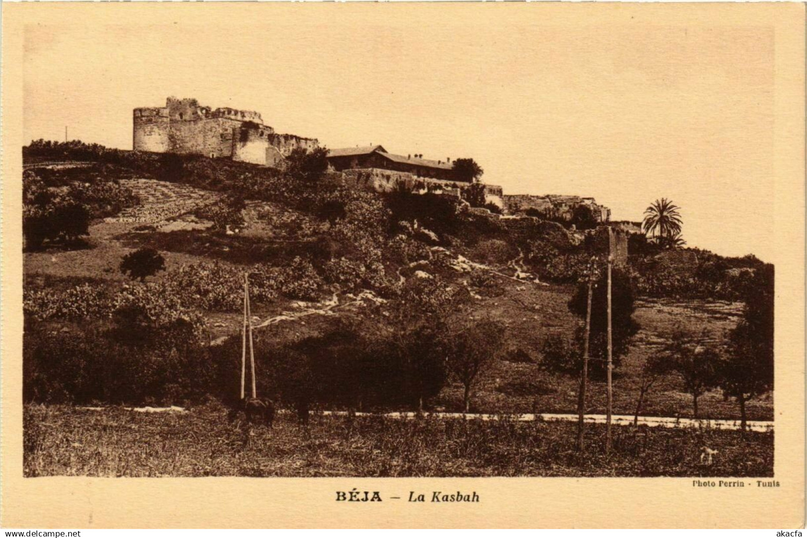 CPA TUNISIE BEJA-La Kasbah (239169)