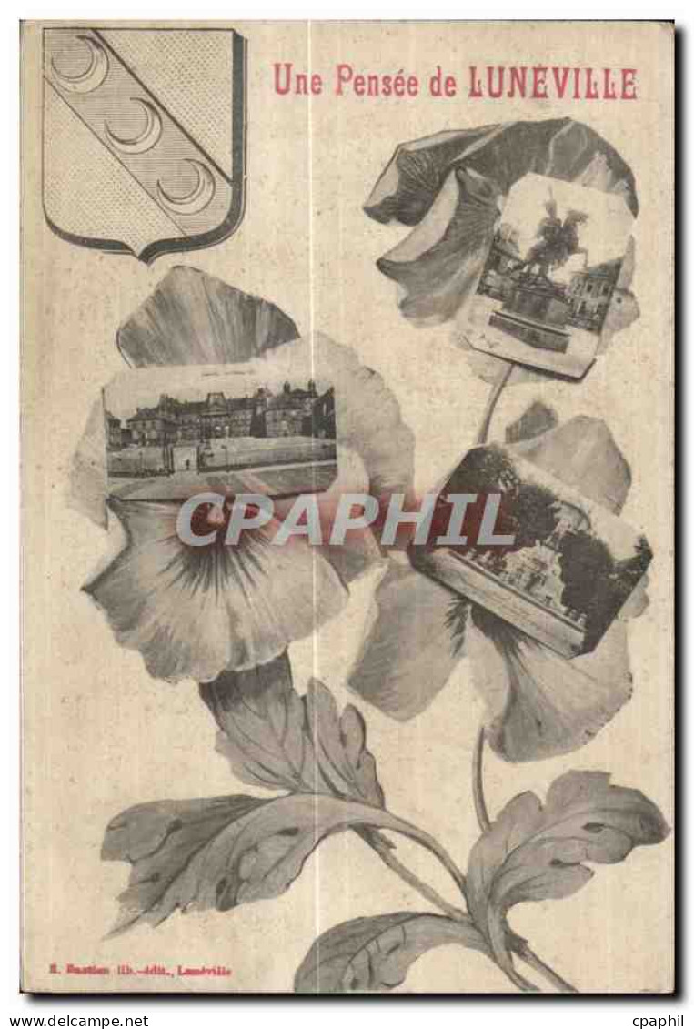 CPA Une Pensee de Luneville