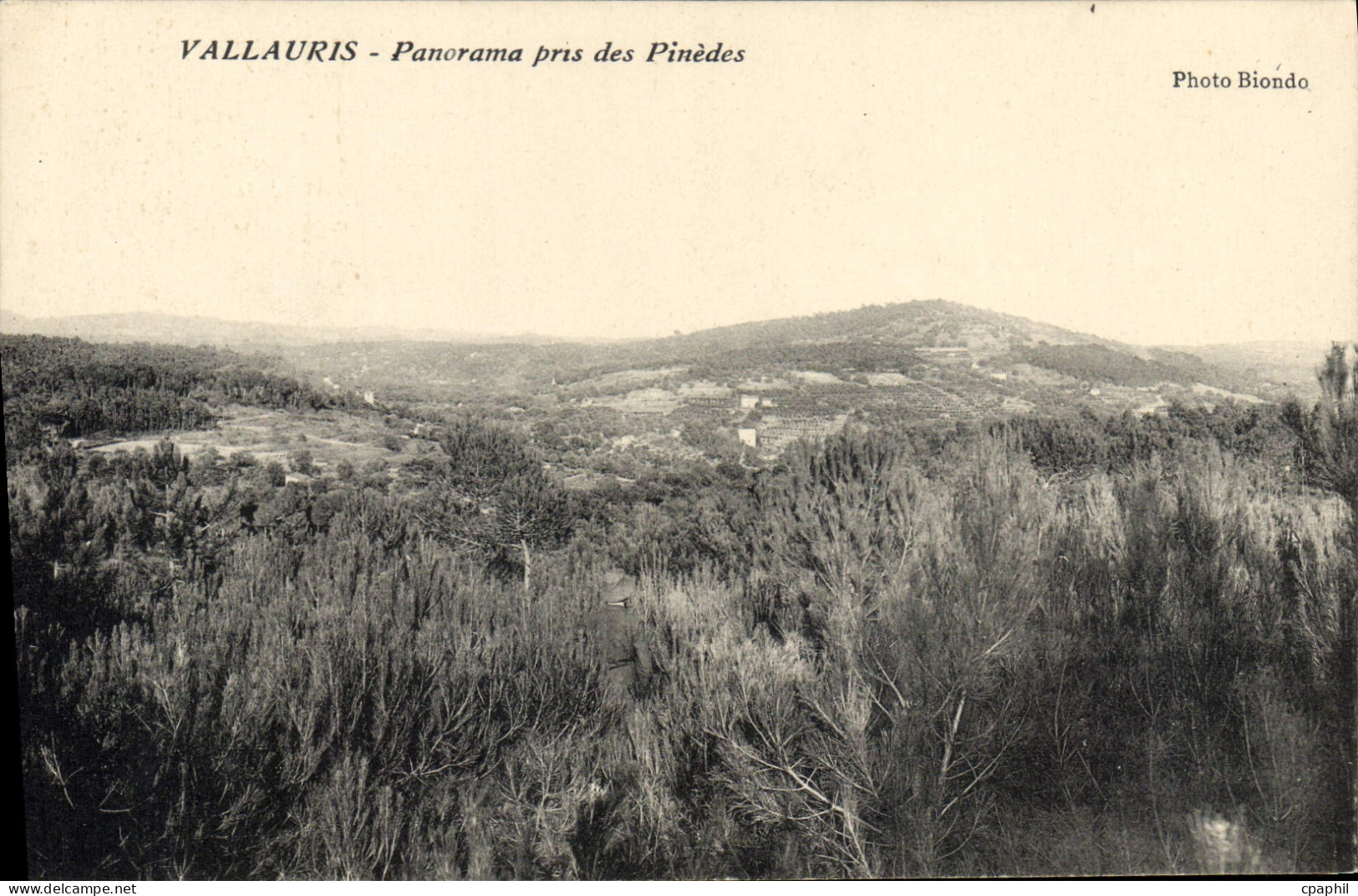 CPA VALLAURIS panorama pris des pinedes
