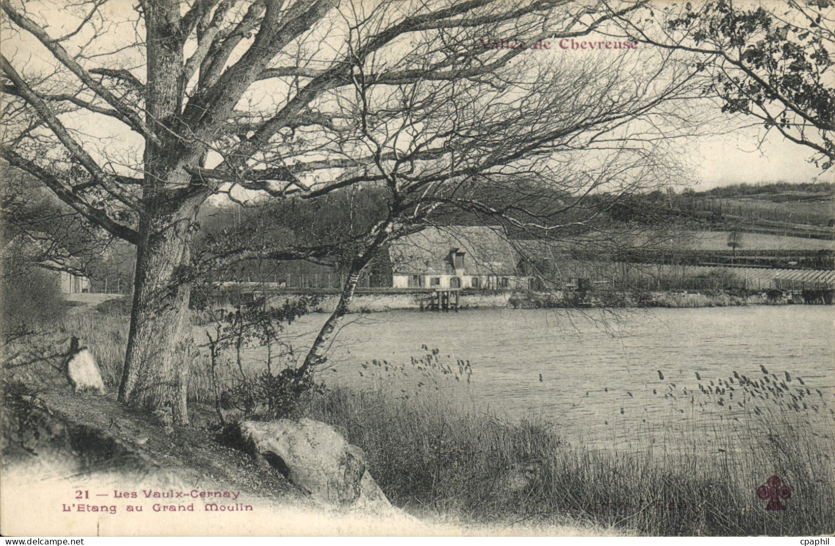 CPA Vallee de Chevreuse les Vaux de Cernay l'Etang au grand Moulin