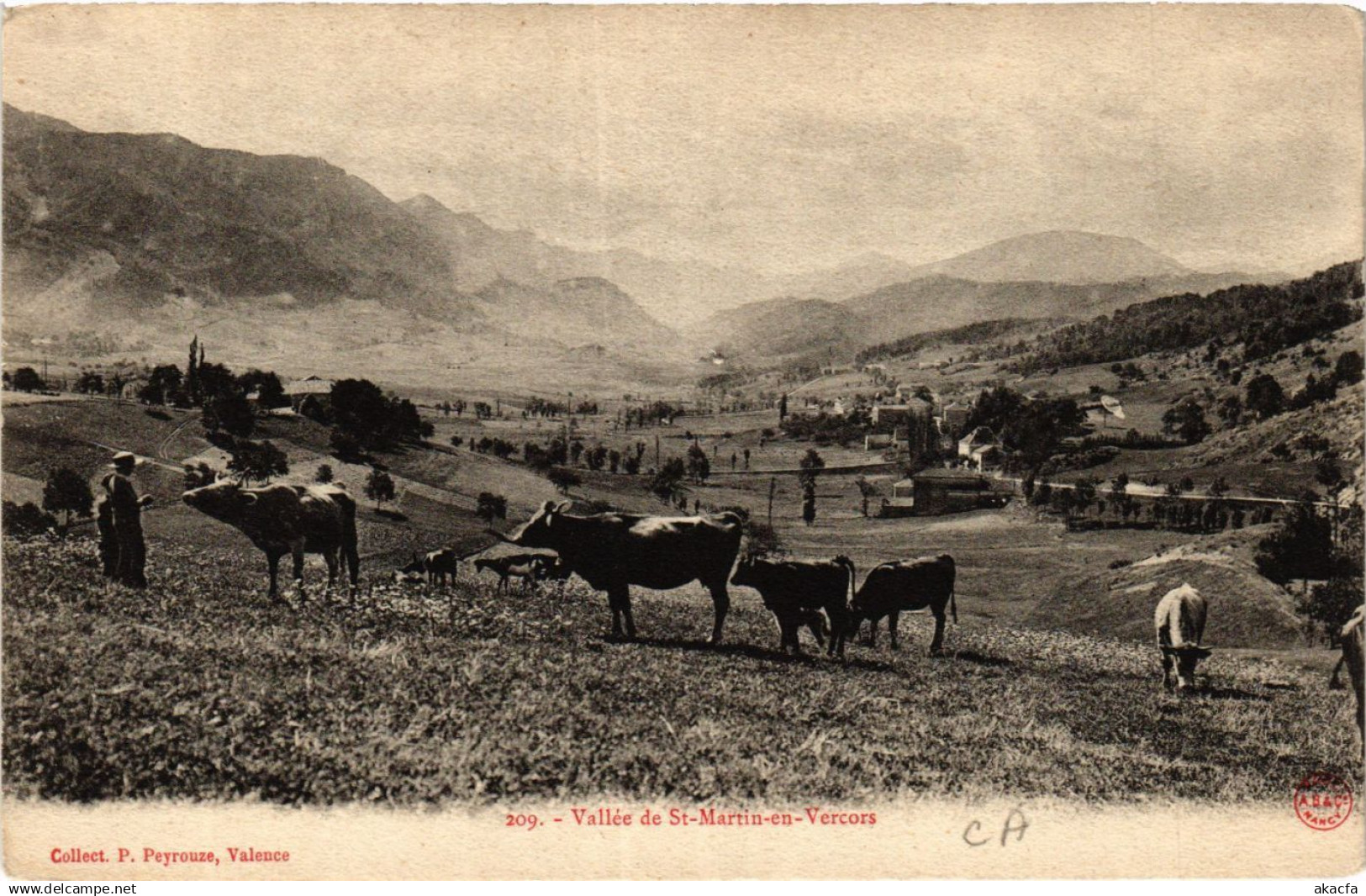 CPA Vallée de St-MARTIN-en-VERCORS (391877)