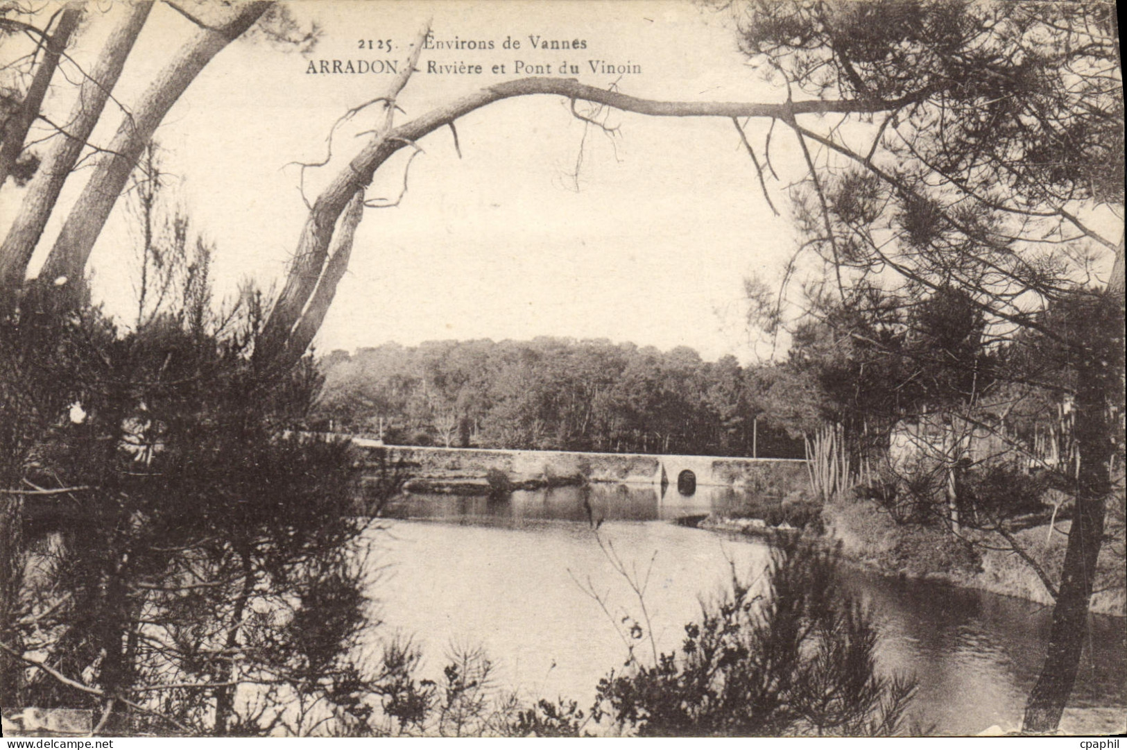 CPA Vannes Arradon Riviere Et Pont Du Vinoin