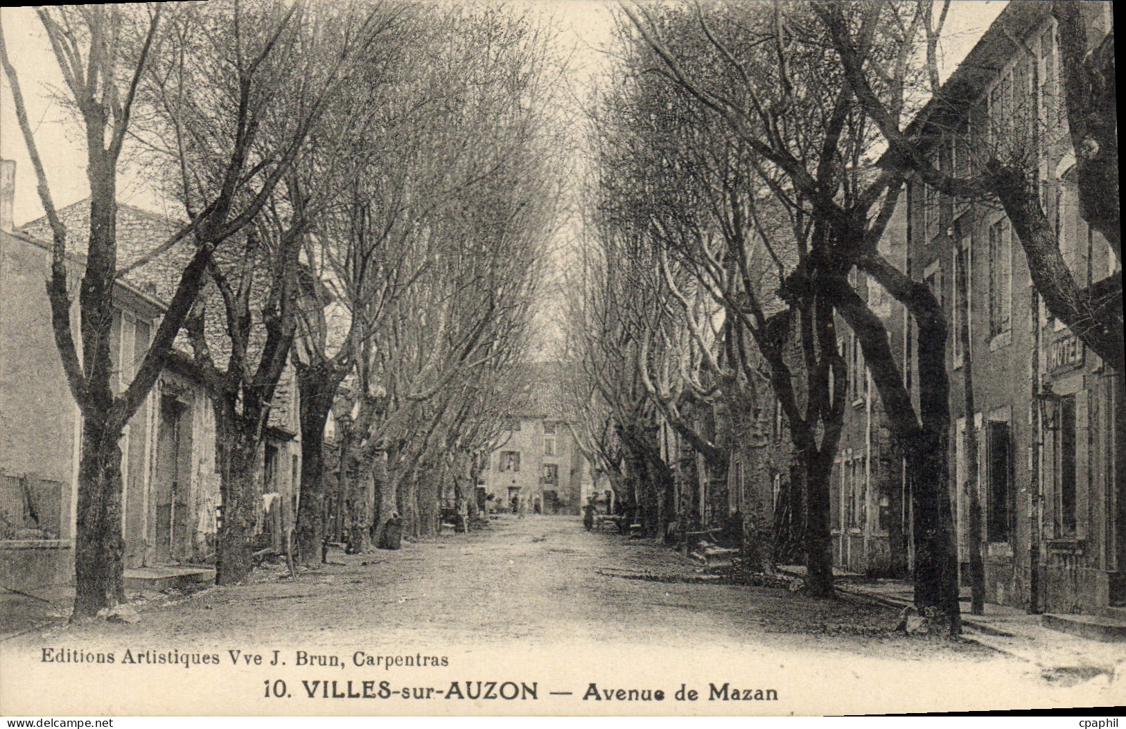CPA Vaucluse Villes sur Auzon Avenue de Mazan