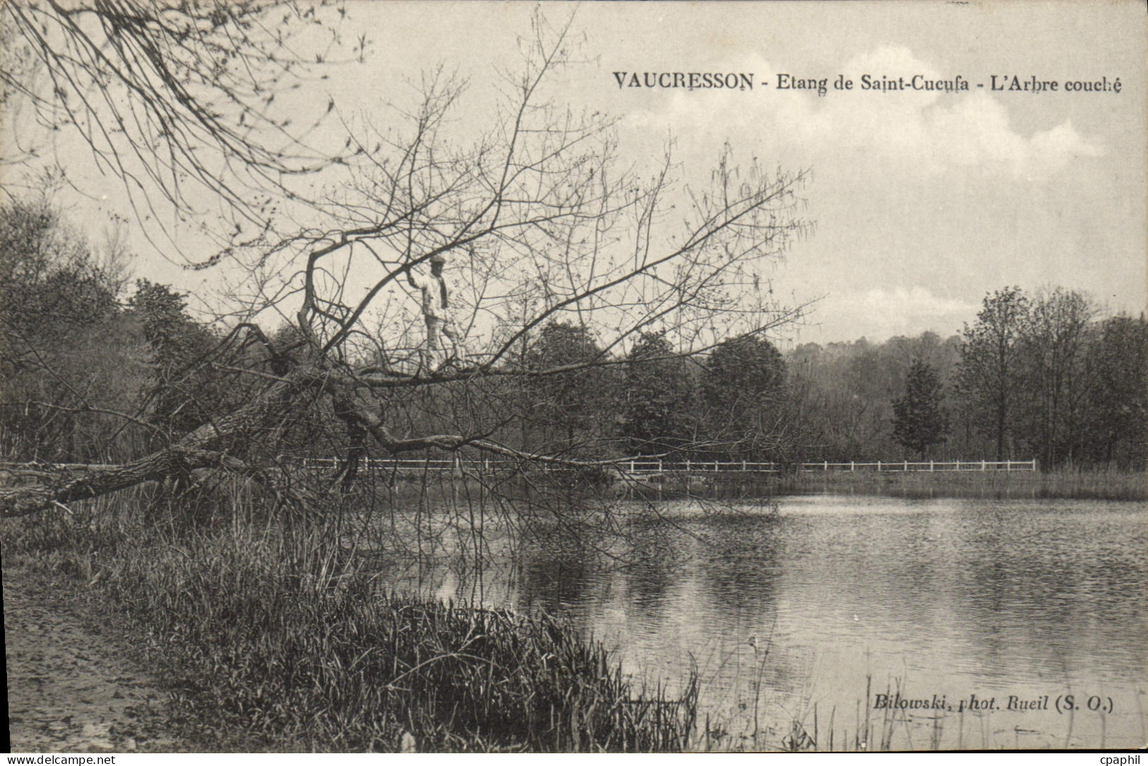 CPA Vaucresson Etang de Saint Cucufa L'Arbre couche
