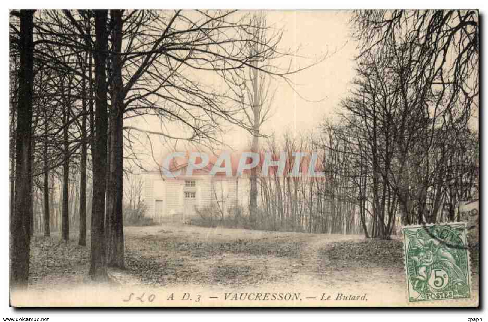 CPA Vaucresson Le butard