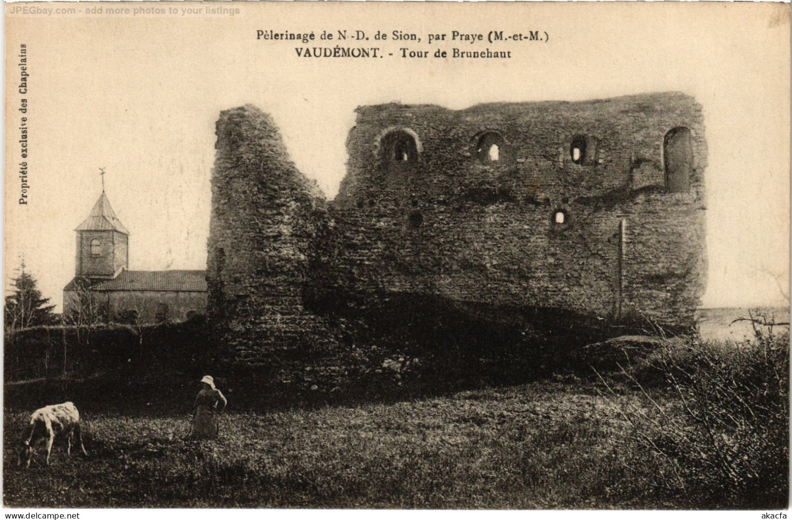 CPA Vaudemont Tour de Brunehaut (1472303)