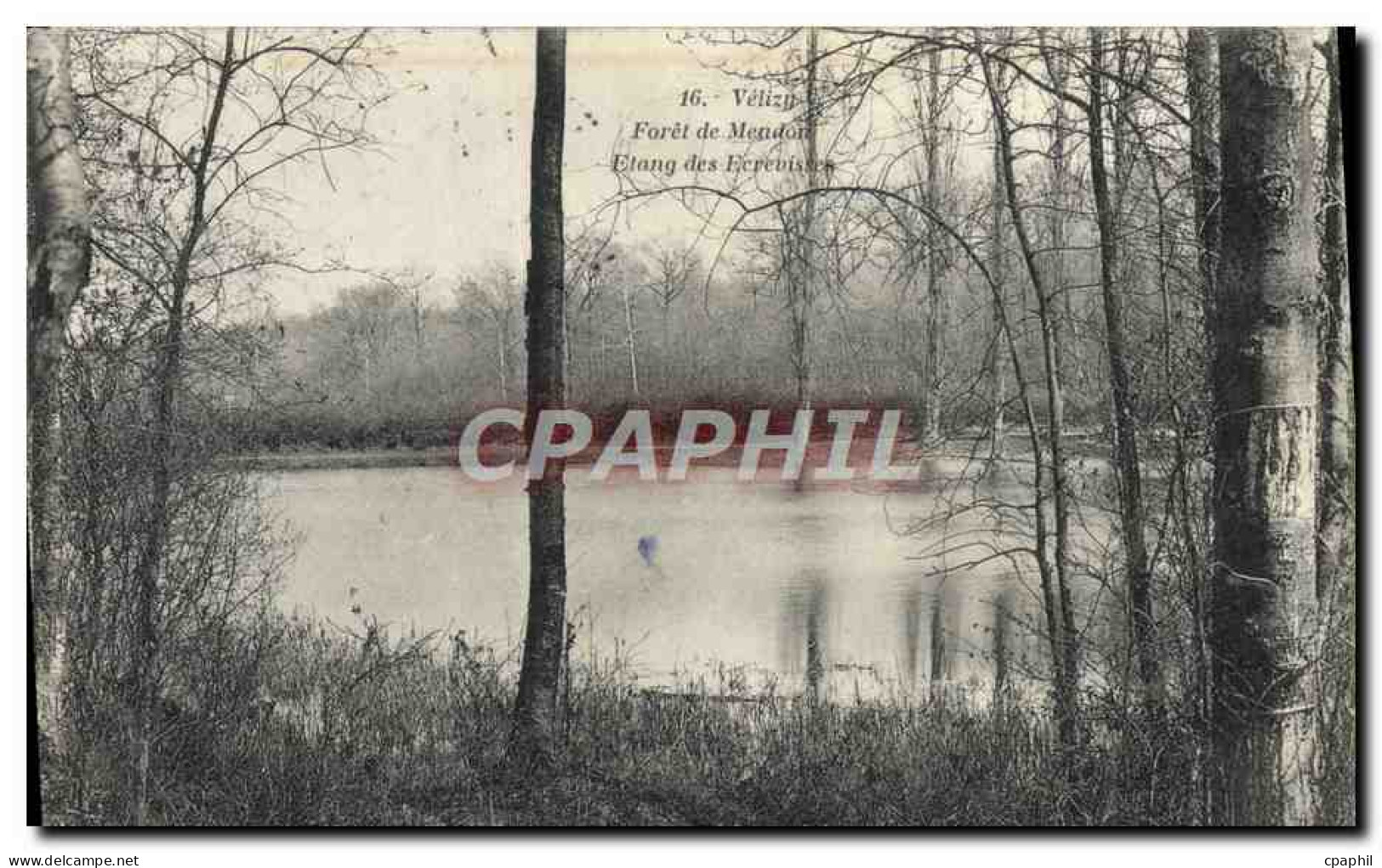 CPA Velizy Foret de Meudon Etang des Ecrevisses