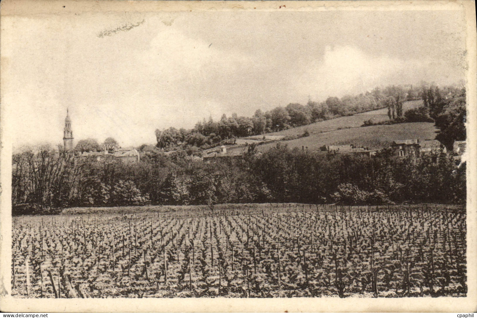 CPA Verdelais Vue Generale Et Le Vignoble