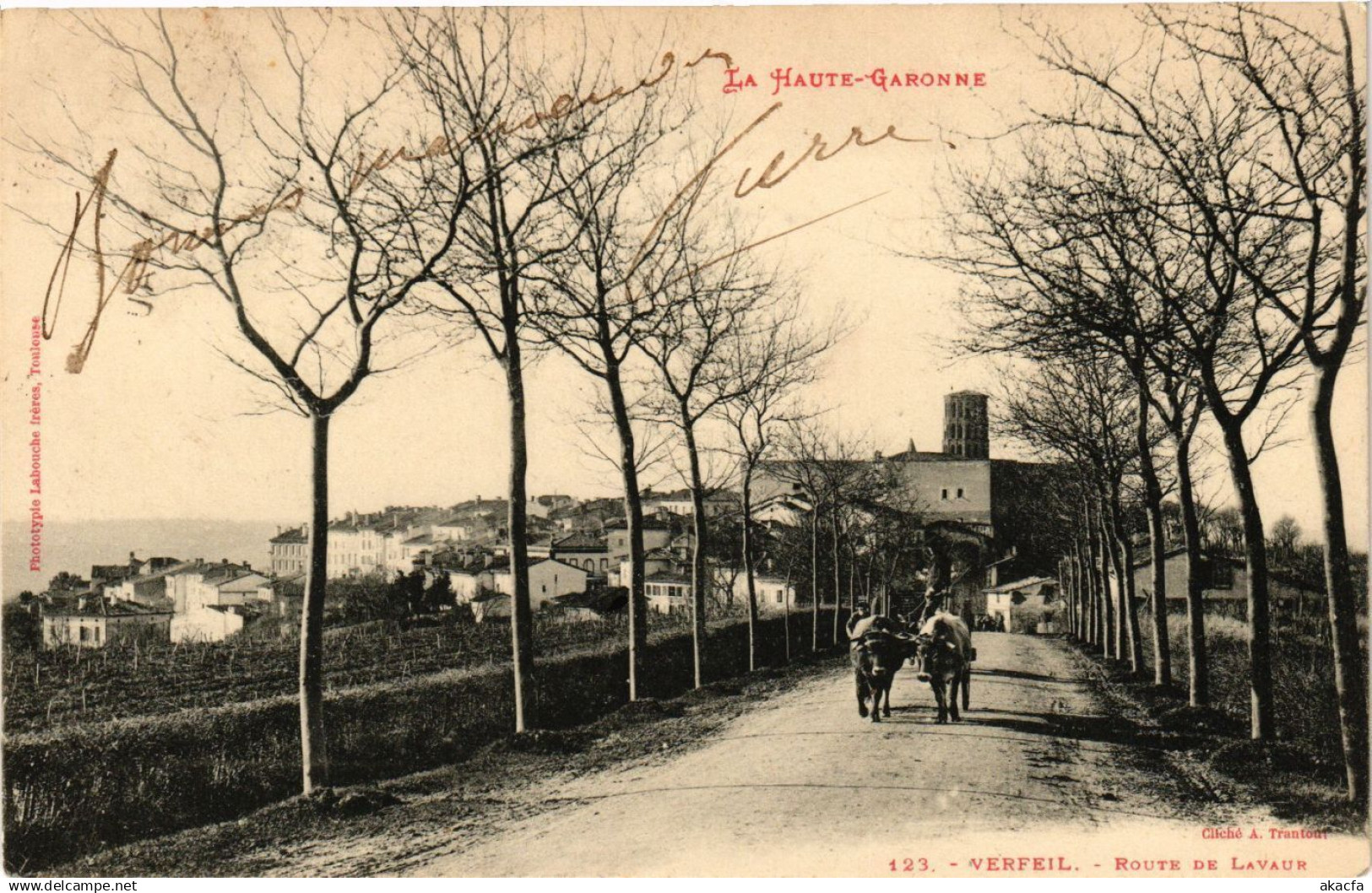 CPA Verfeil - Route de Lavaur (255823)