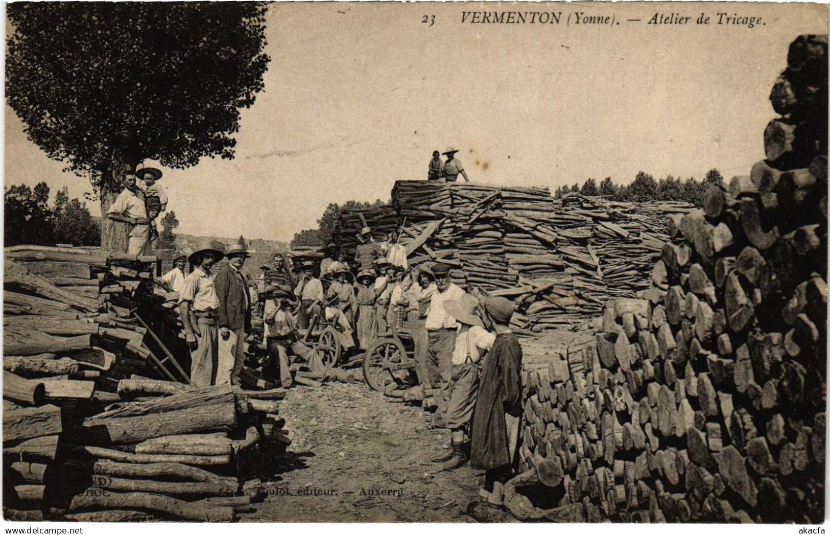 CPA Vermenton Atelier de Tricage (1391725)
