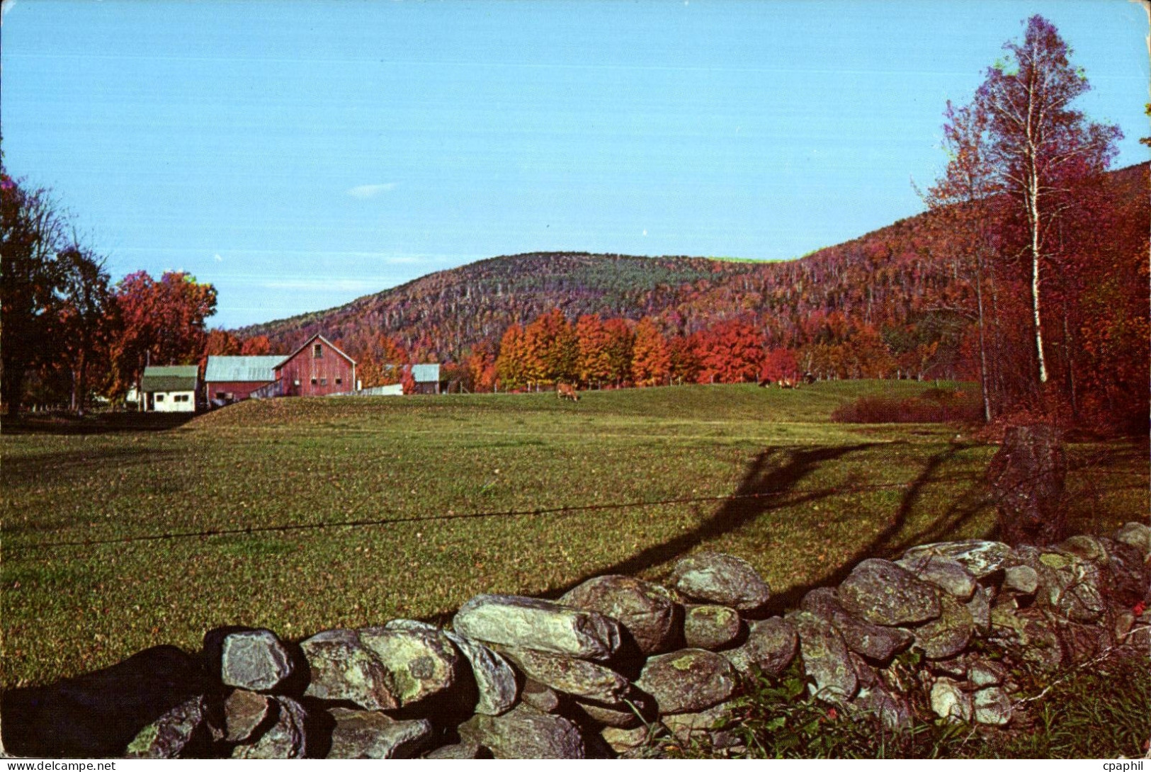 CPA Vermont
