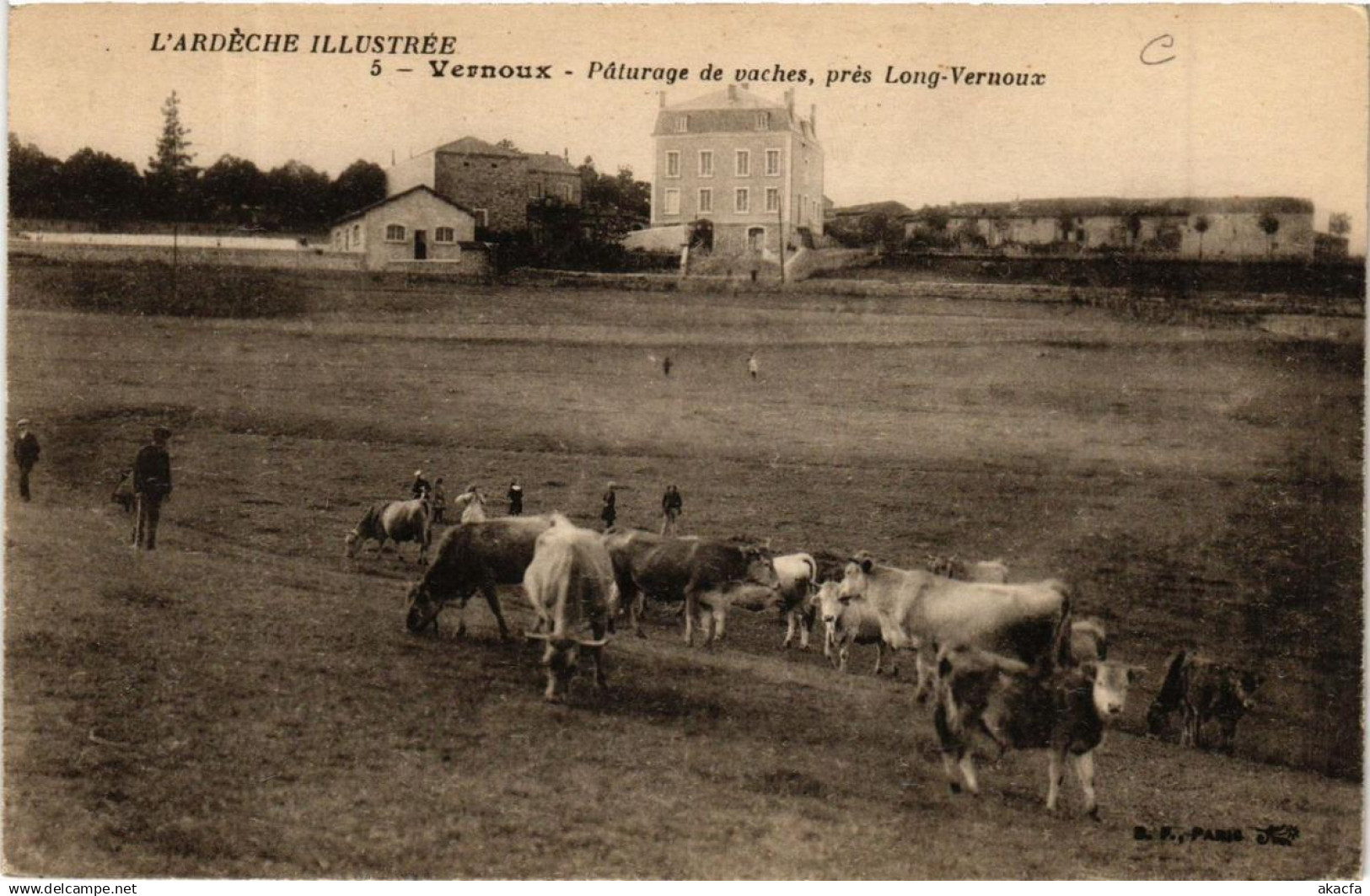 CPA VERNOUX Paturage de vaches (660845)