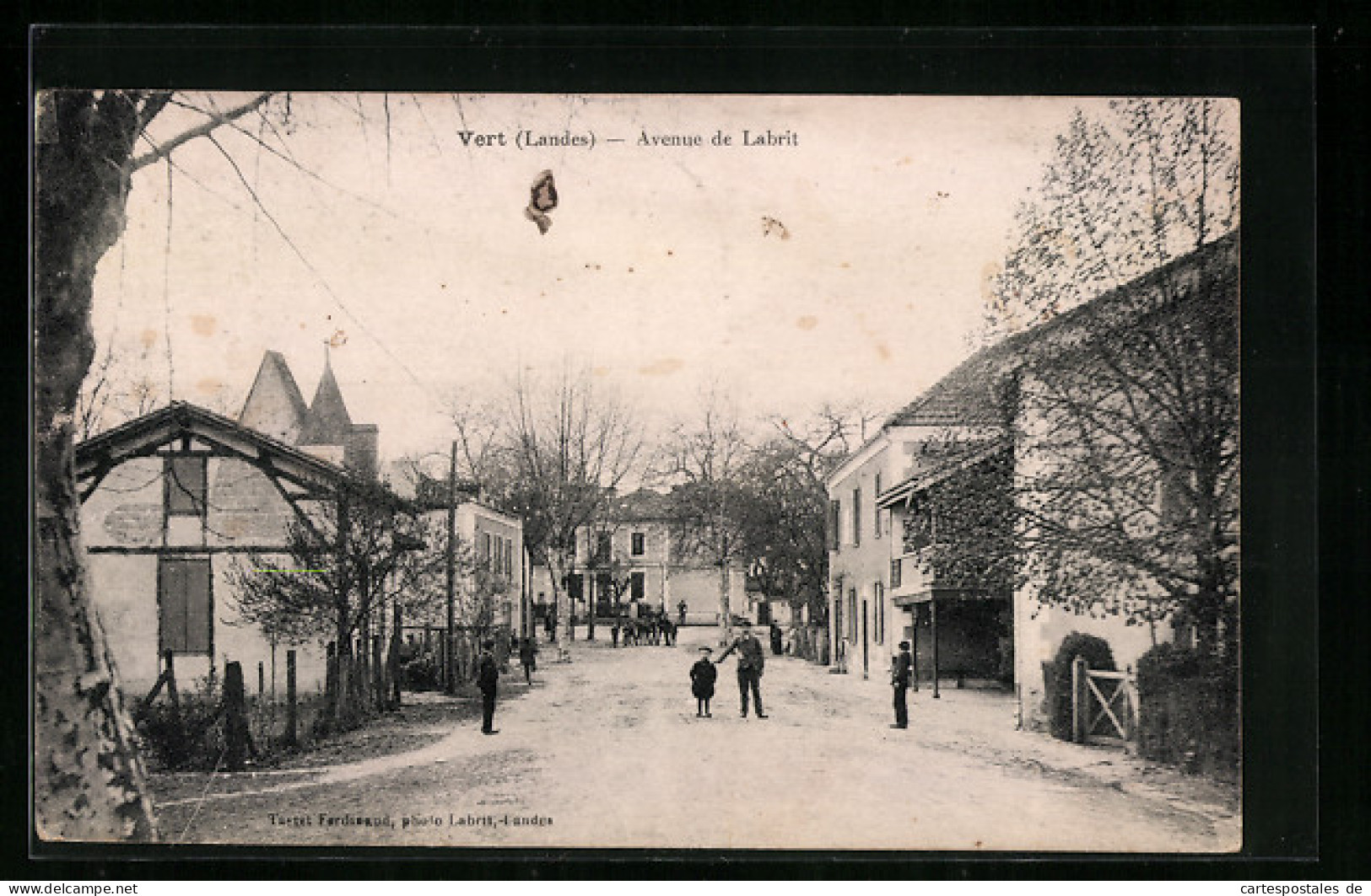 CPA Vert, Avenue de Labrit