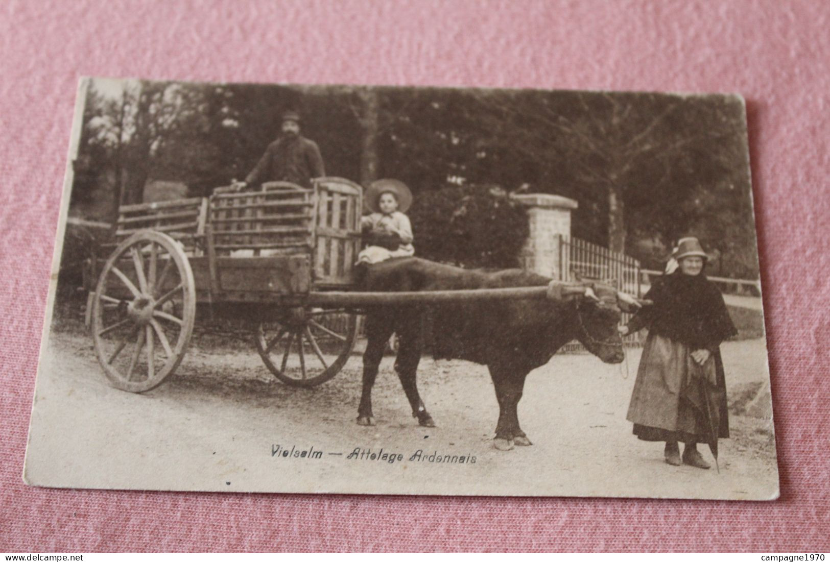 CPA - VIELSALM - ATTELAGE ARDENNAIS ( CHARIOT AVEC BOEUF )