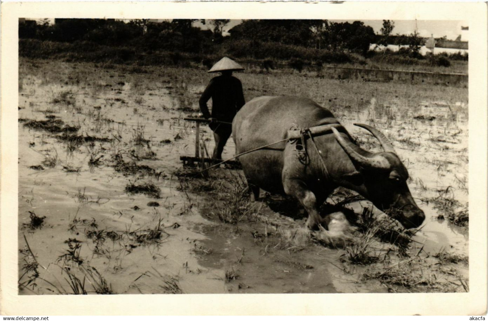 CPA VIETNAM INDOCHINA Nord Vietnam (957440)