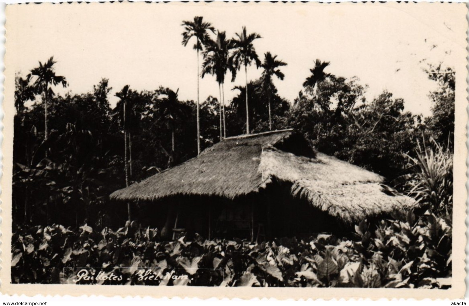 CPA VIETNAM - Paillotes - Vietnam (84968)