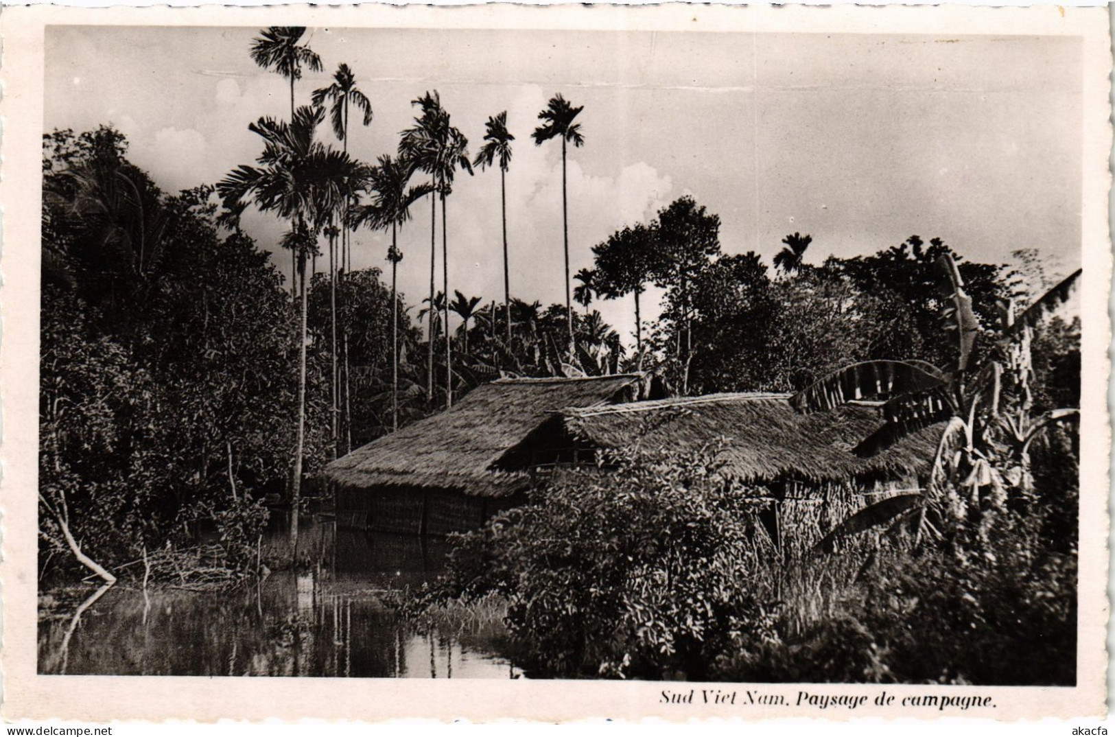 CPA VIETNAM - Sud Vietnam. Paysage de campagne (94509)