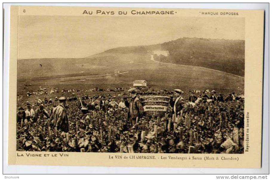 cpa Vin de Champagne Pressurage au vendangeoir Ste Helène n°9 AU PAYS DU CHAMPAGNE vigne et vin -em choque
