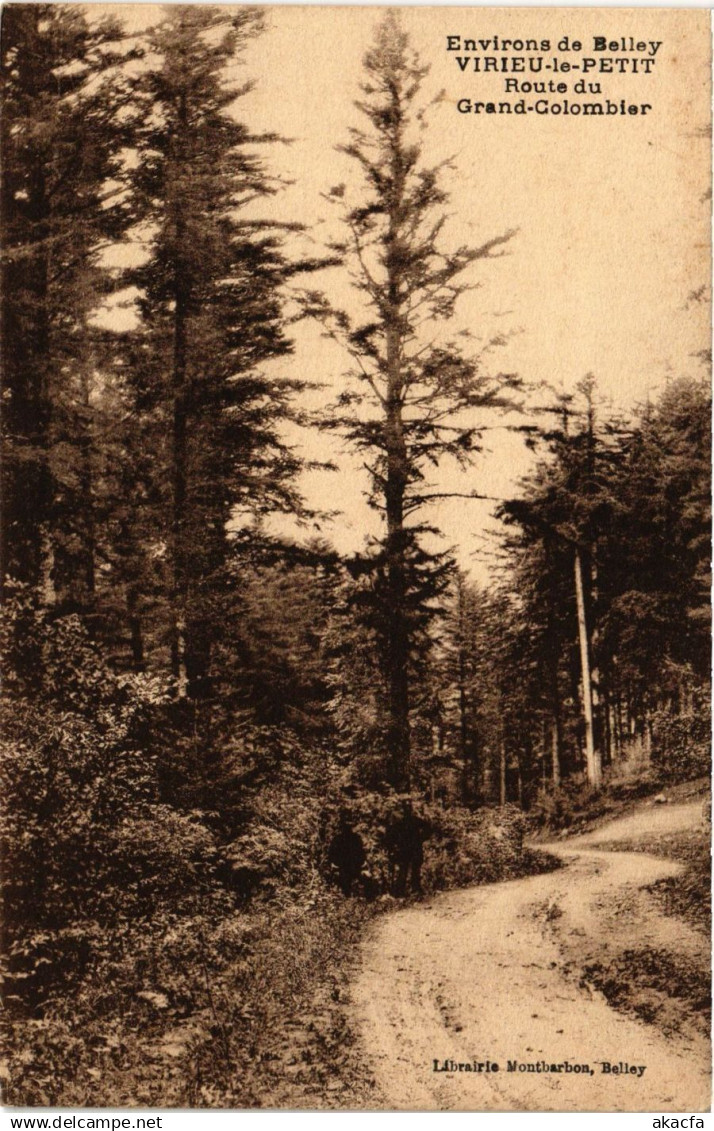 CPA Virieu le Petit - Route du Grand-Colombier (272850)