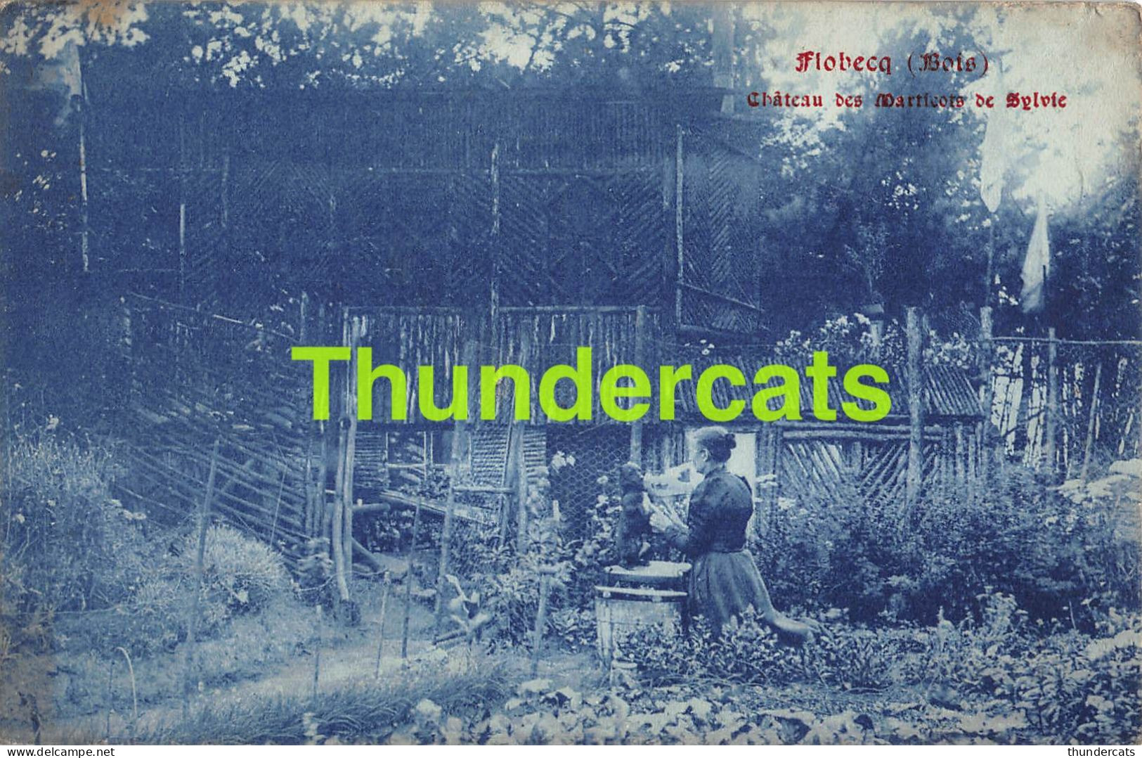 CPA VLOESBERG FLOBECQ CHATEAU DES MARTICOTS DE SYLVIE