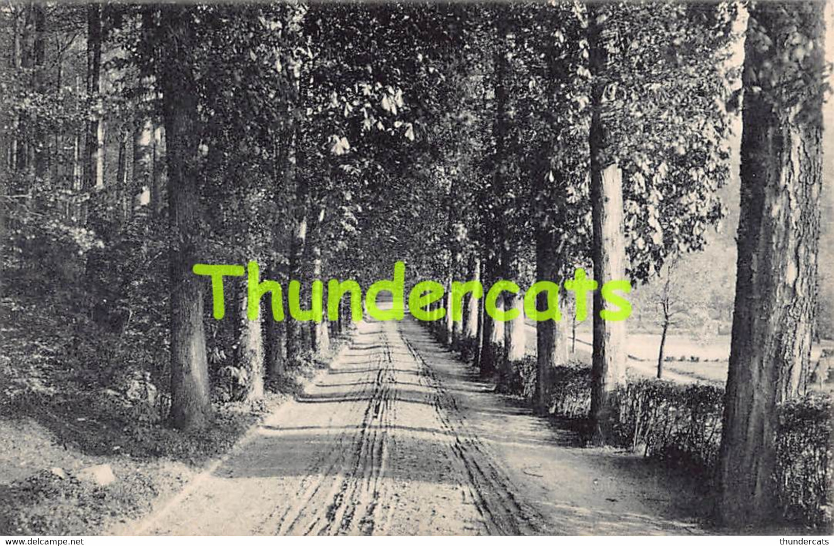 CPA VORST FOREST PARC DE MME DUDEN