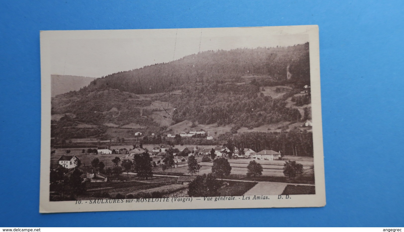 CPA  Vosges - Saulxures sur Moselotte - Vue générale  Les Amias