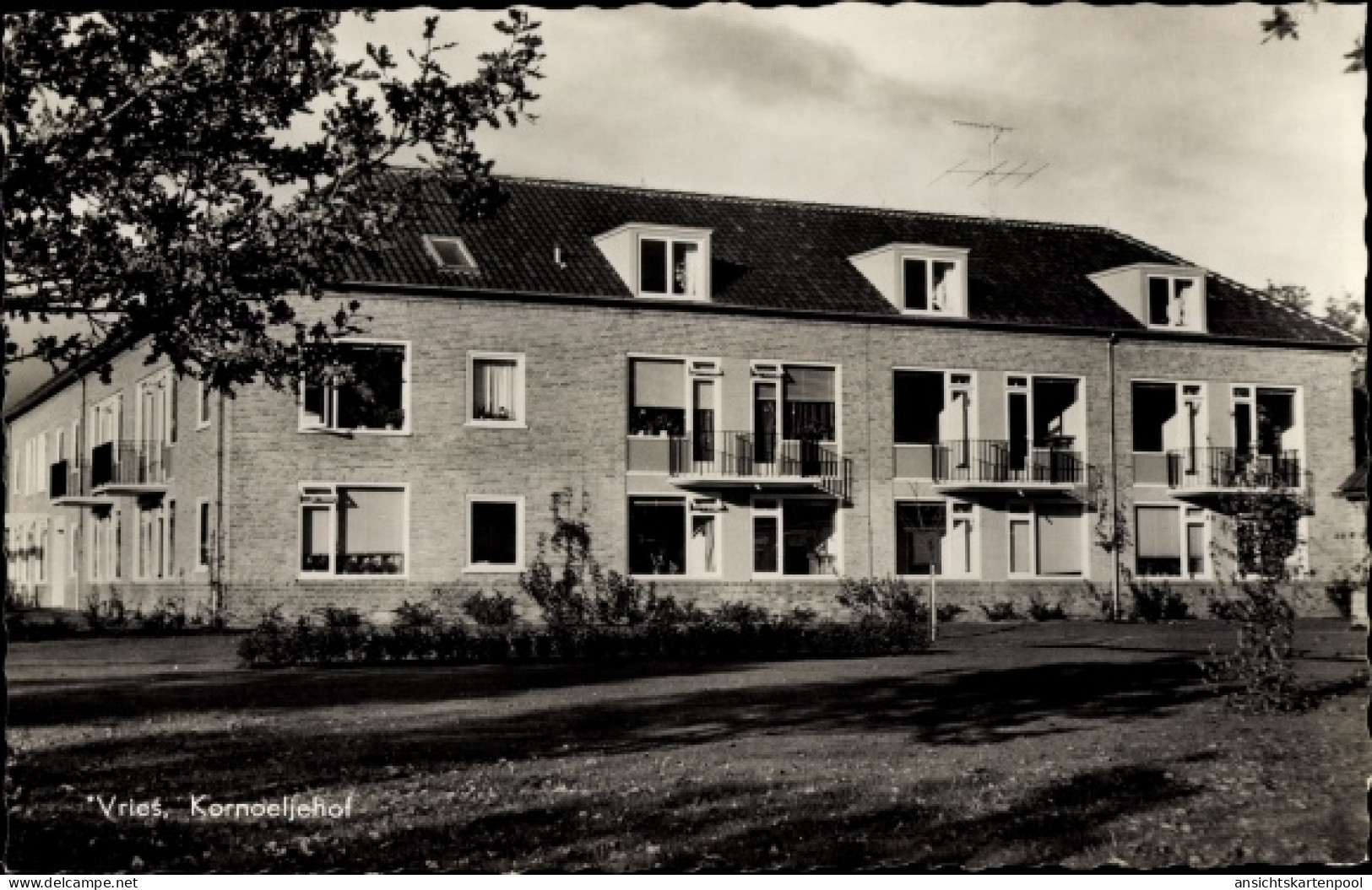 CPA Vries Tynaarlo Drenthe, Kornoeljehof