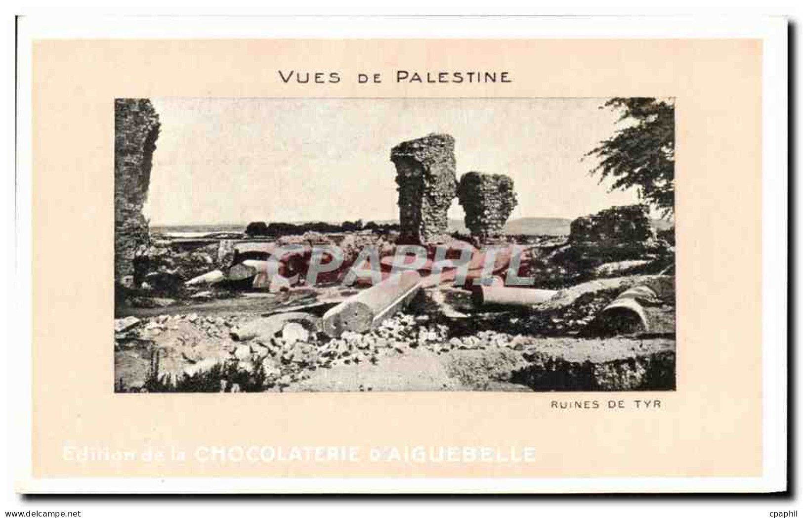 CPA Vues De Palestine