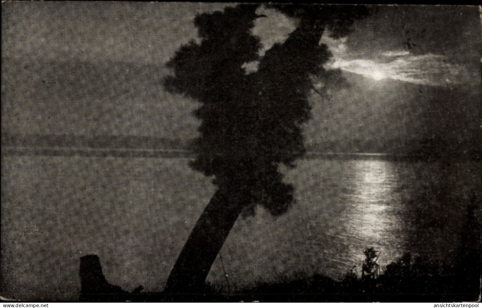 CPA Weißrussland, Le Lac Switez