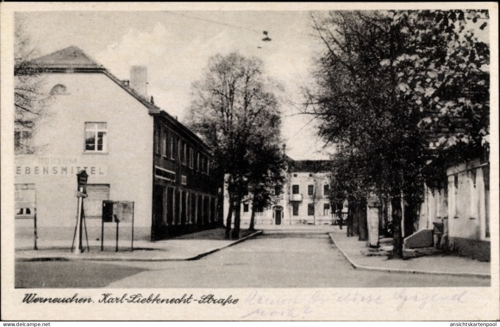 CPA Werneuchen im Kreis Barnim, Karl-Liebknecht-Straße, Konsum Lebensmittel