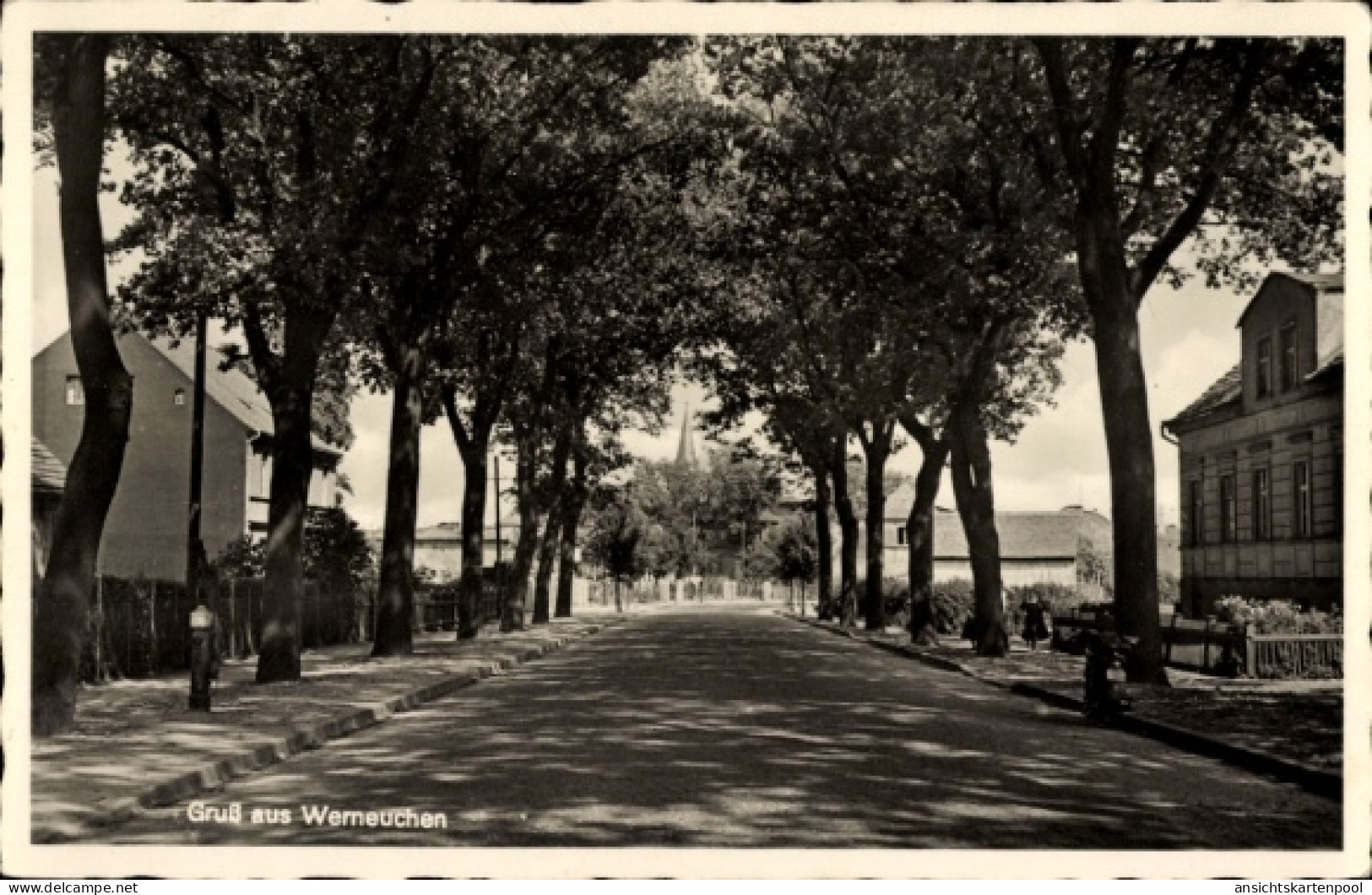CPA Werneuchen im Kreis Barnim, Straßenpartie, Allee