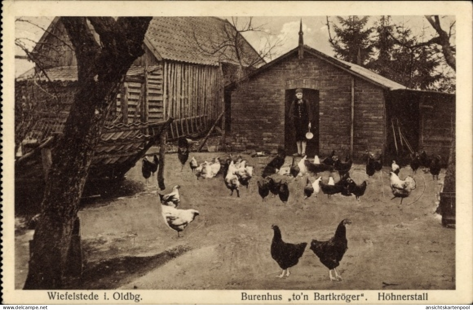 CPA Wiefelstede im Ammerland, Burenhaus to 'n Bartkröger, Hühnerstall