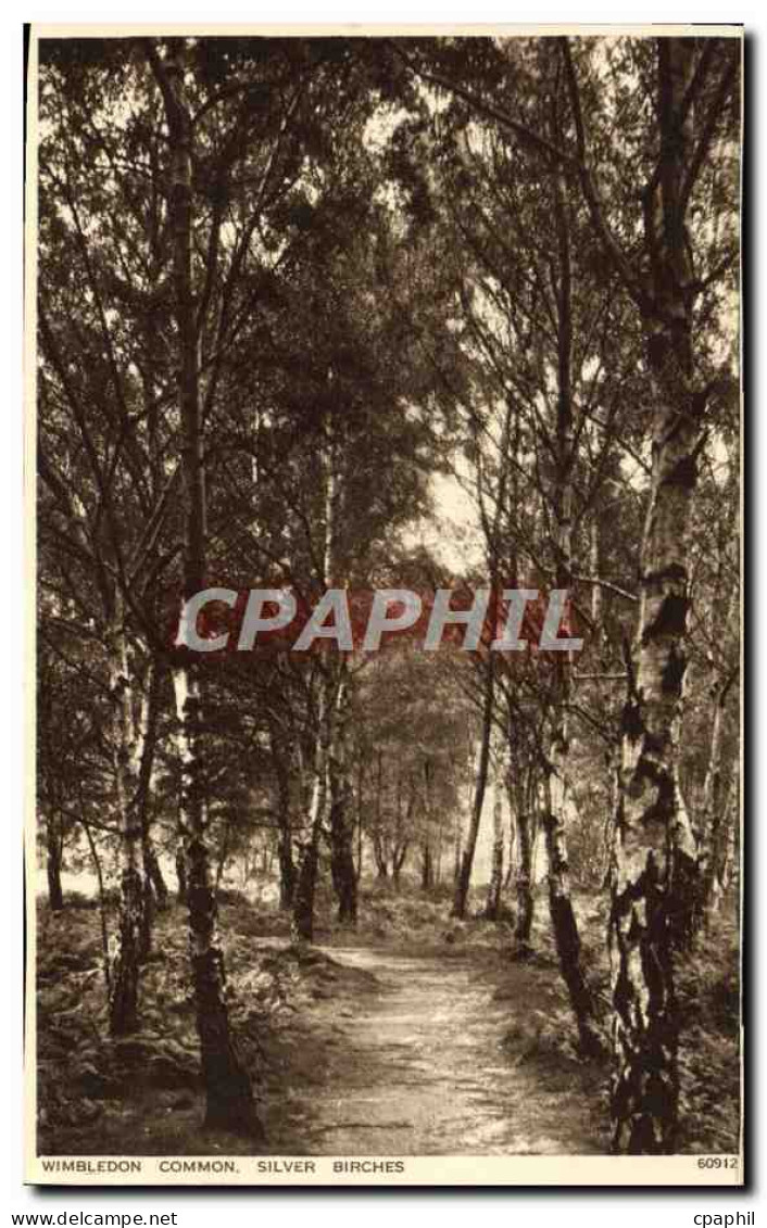 CPA Wimbledon Common Silver Birches