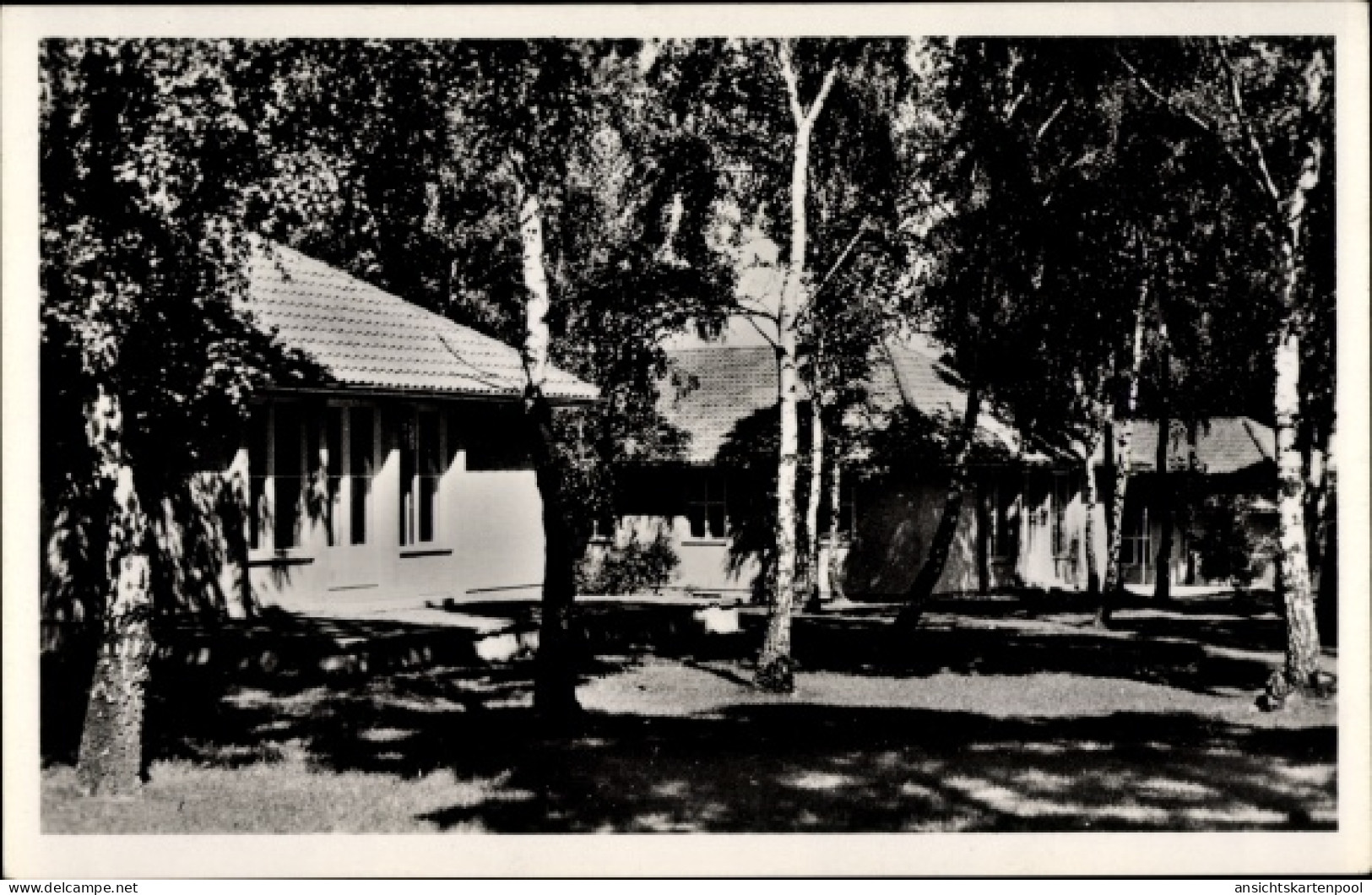 CPA Wustermark in Brandenburg, Olympisches Dorf, Wohnhäuser im Birkenwald