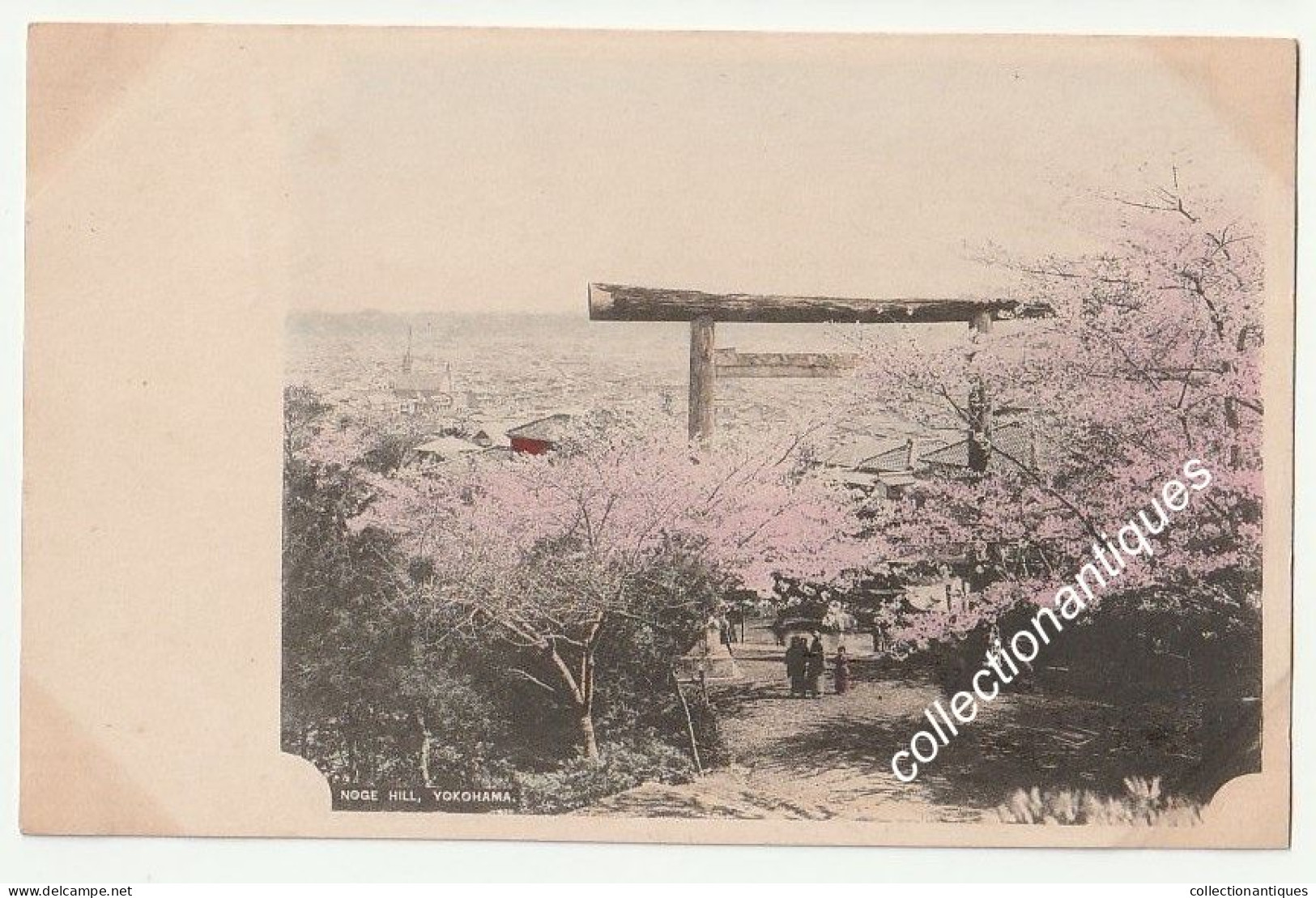 CPA  Yokohama - Noge Hill Cherry blossom - Non circulée - Non divisée