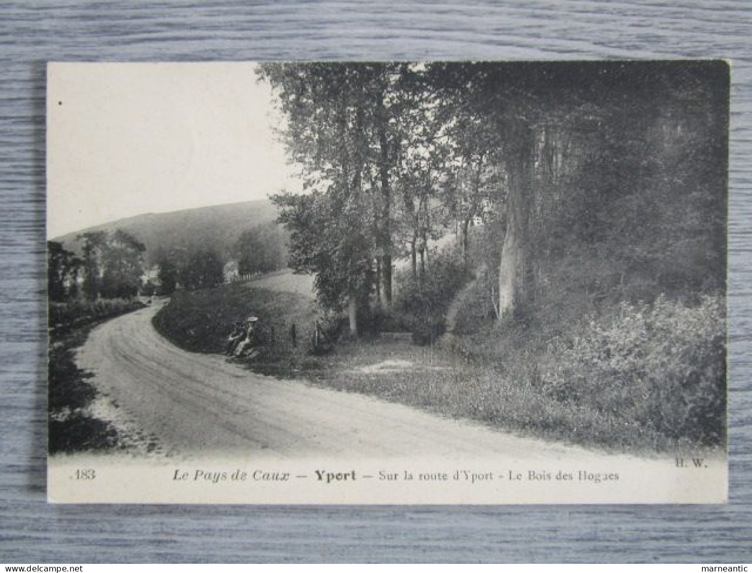 Cpa Yport (76) sur la roure d'Yport-le bois des Hogues