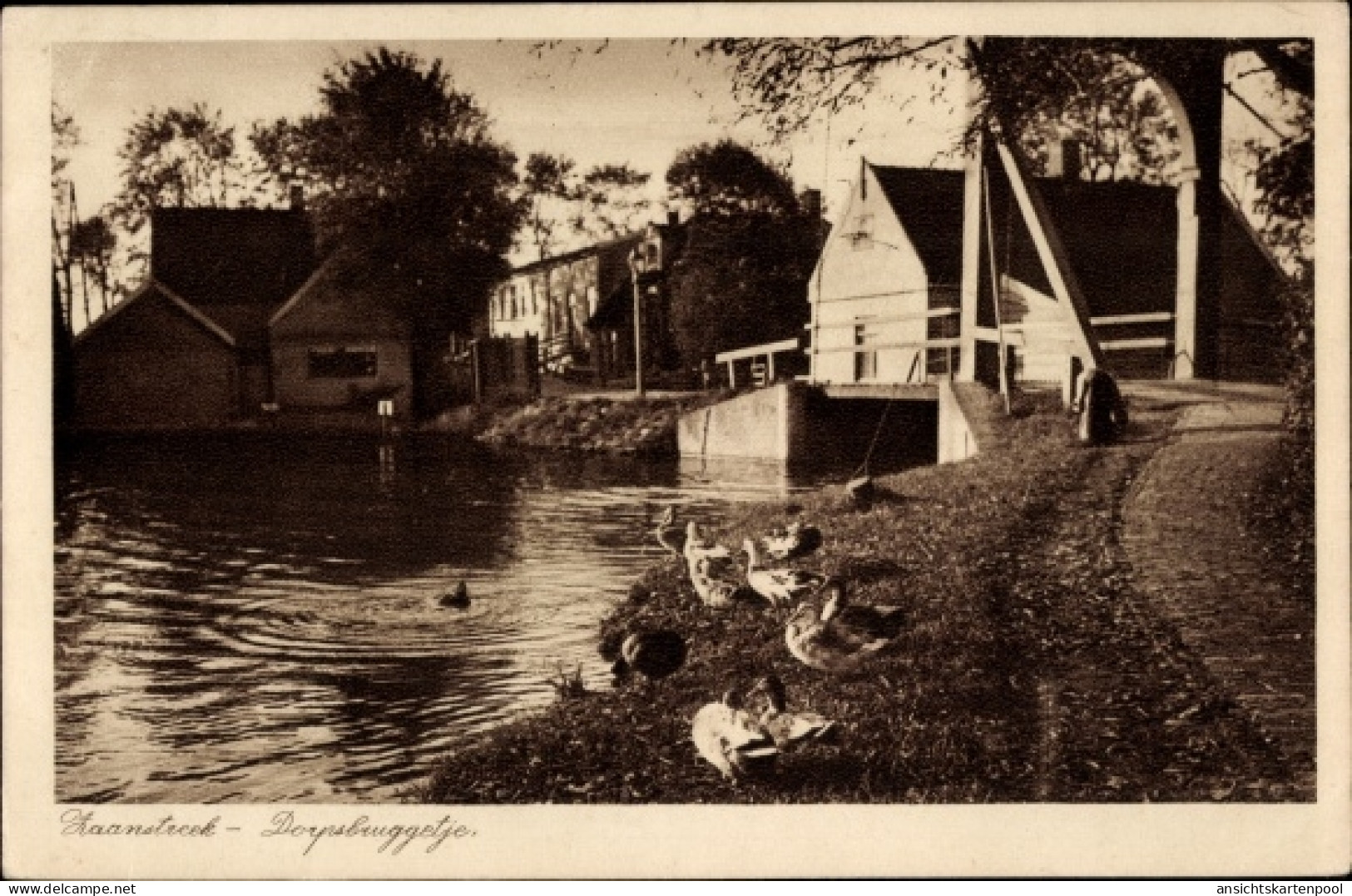 CPA Zaanstreek Nordholland, Dorpsbrug