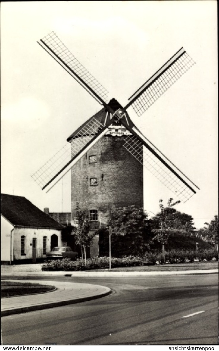 CPA Zevenaar Gelderland Niederlande, Buitenmolen