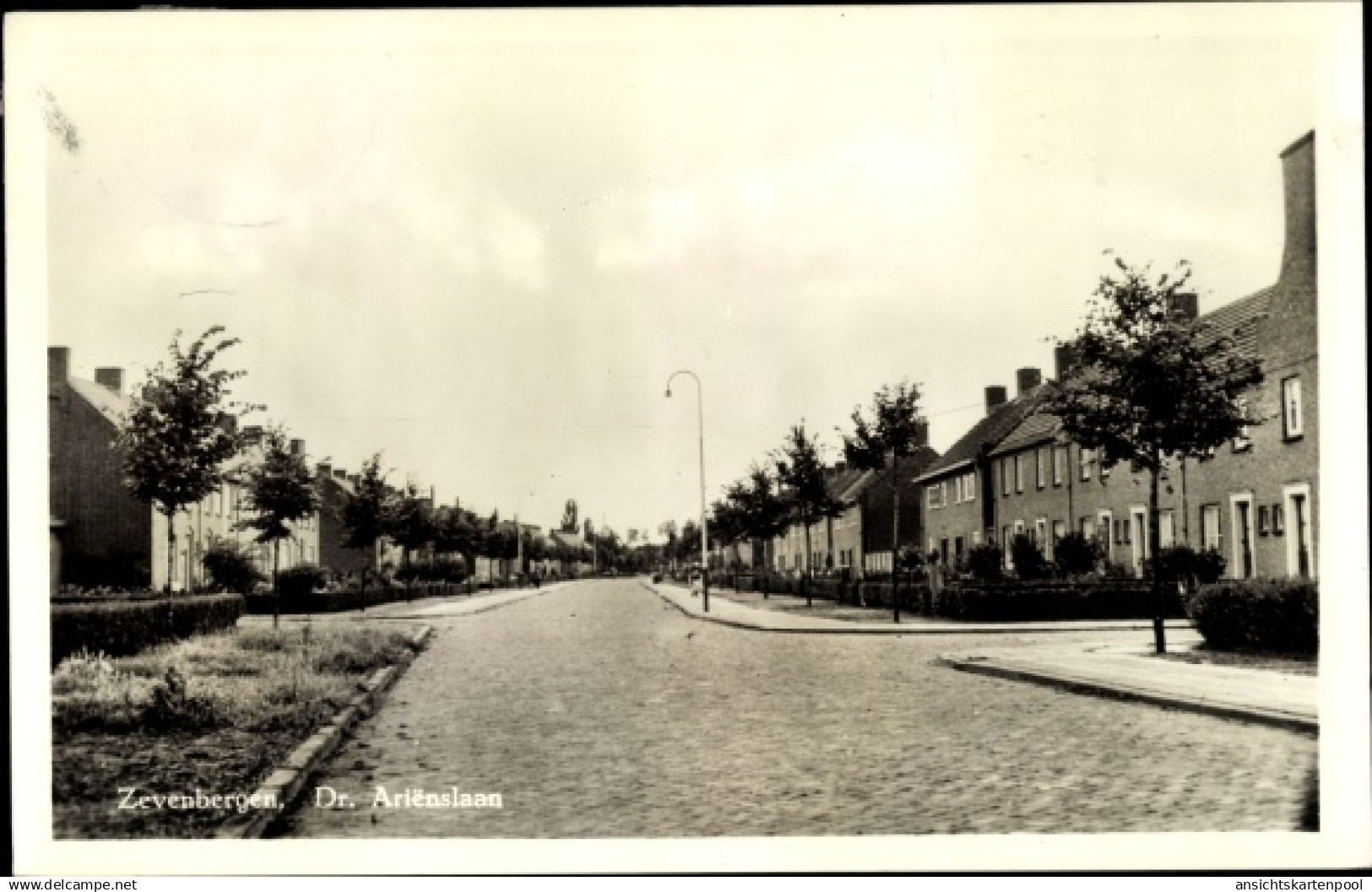 CPA Zevenbergen Nordbrabant, Dr. Arienslaan